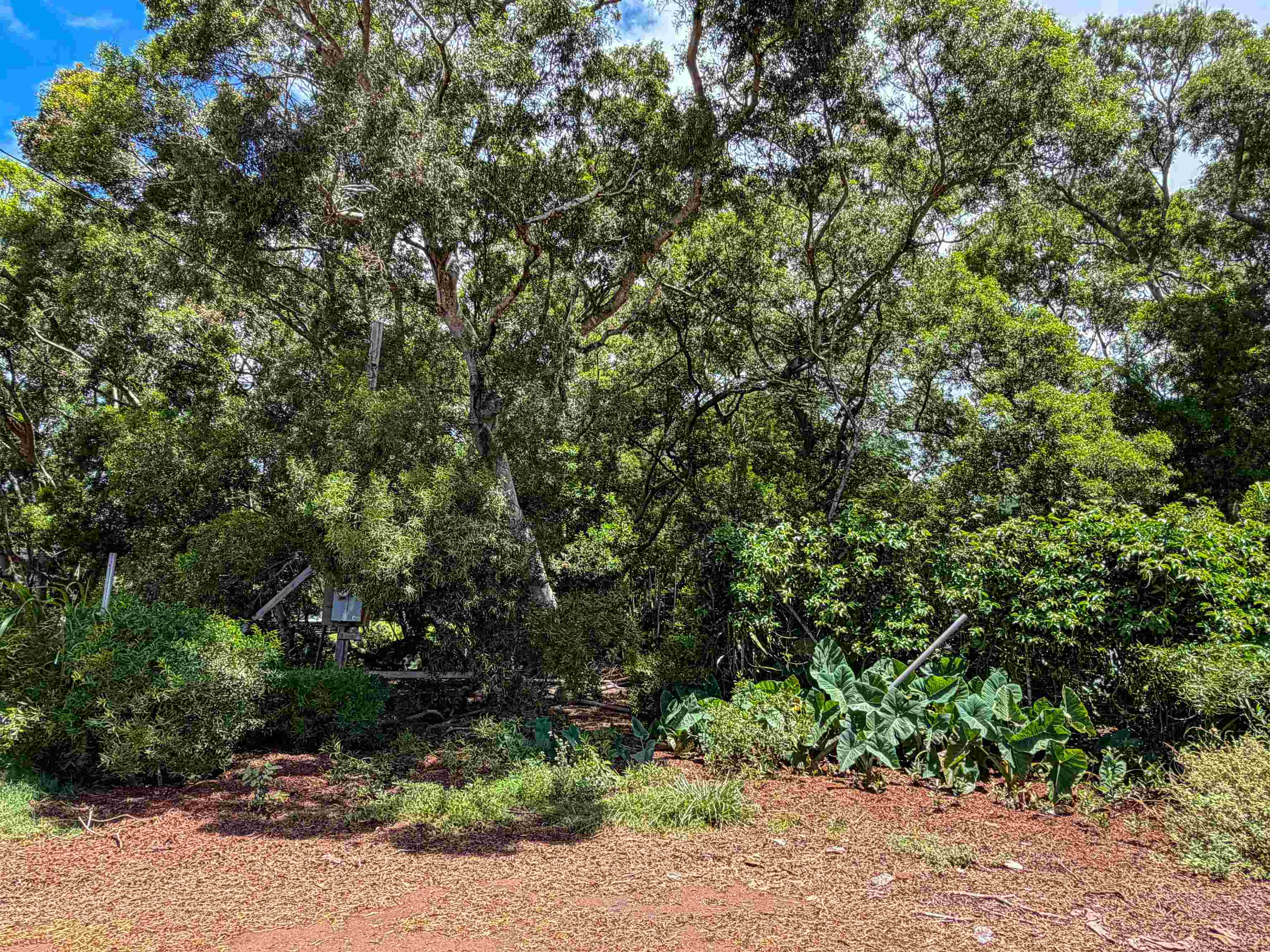 36 Koala Way Property Photo 3