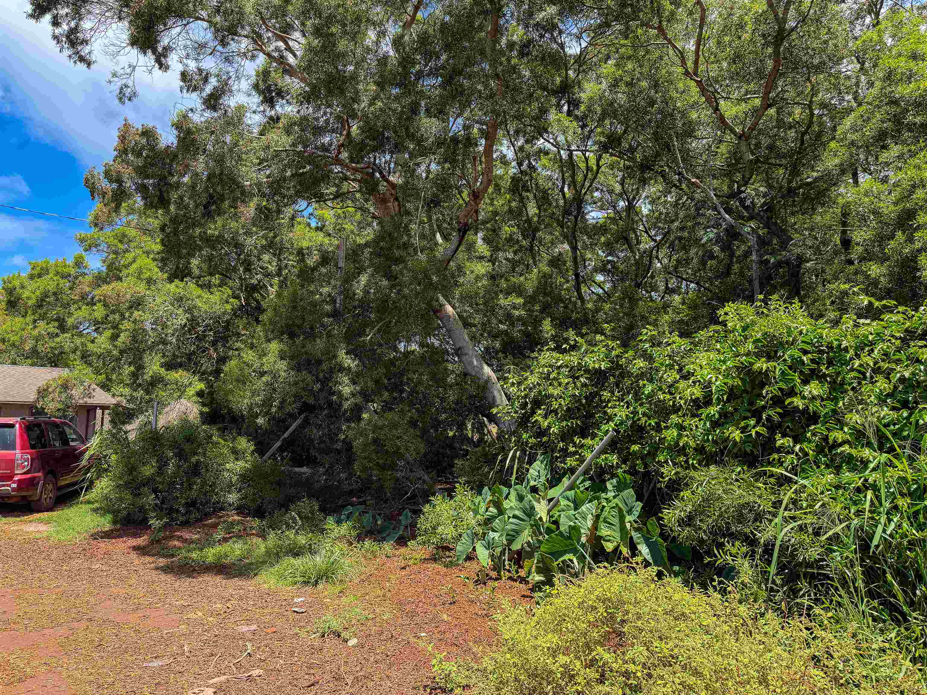 36 Koala Way Property Photo 4