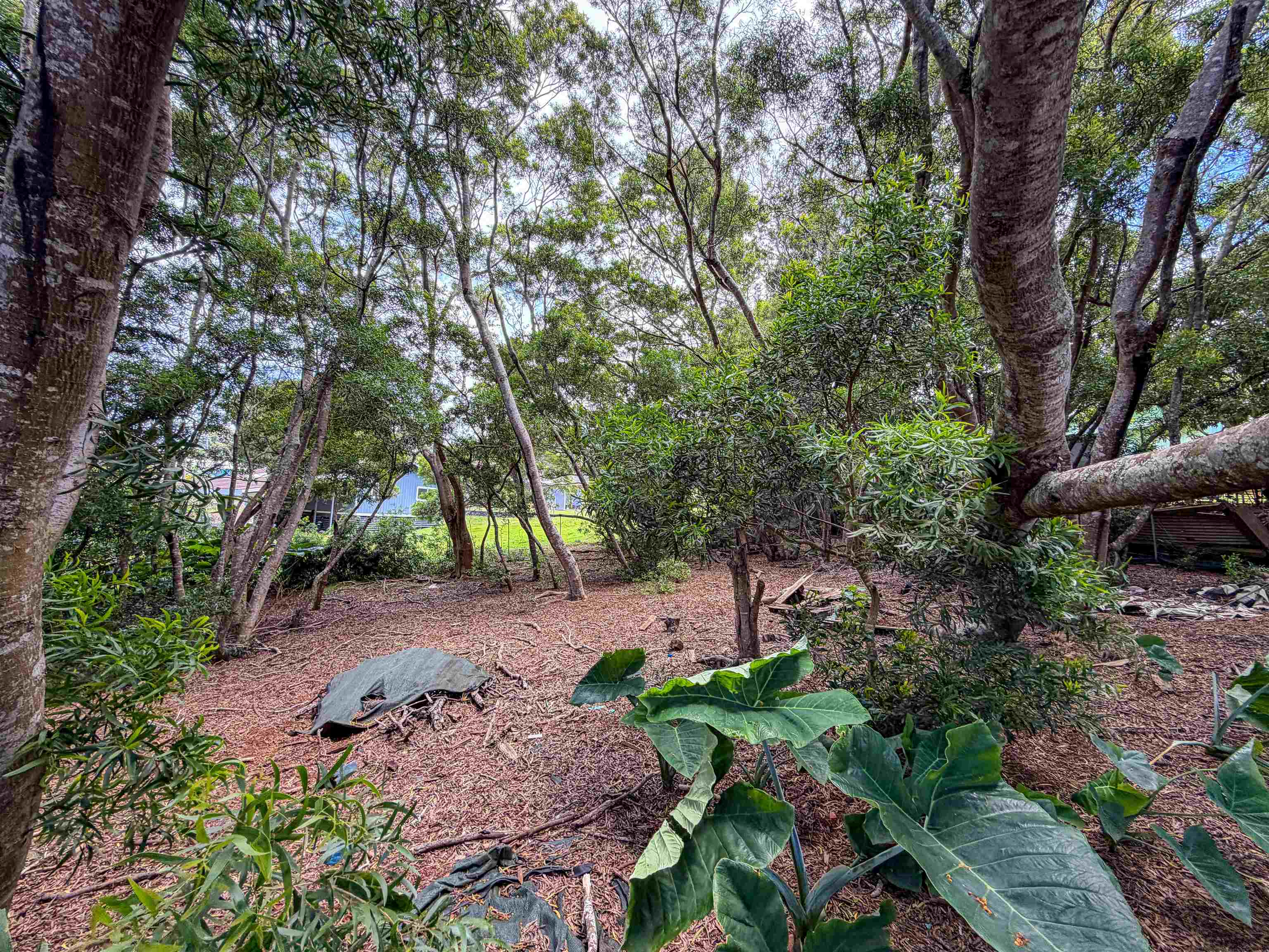 36 Koala Way Property Photo 5