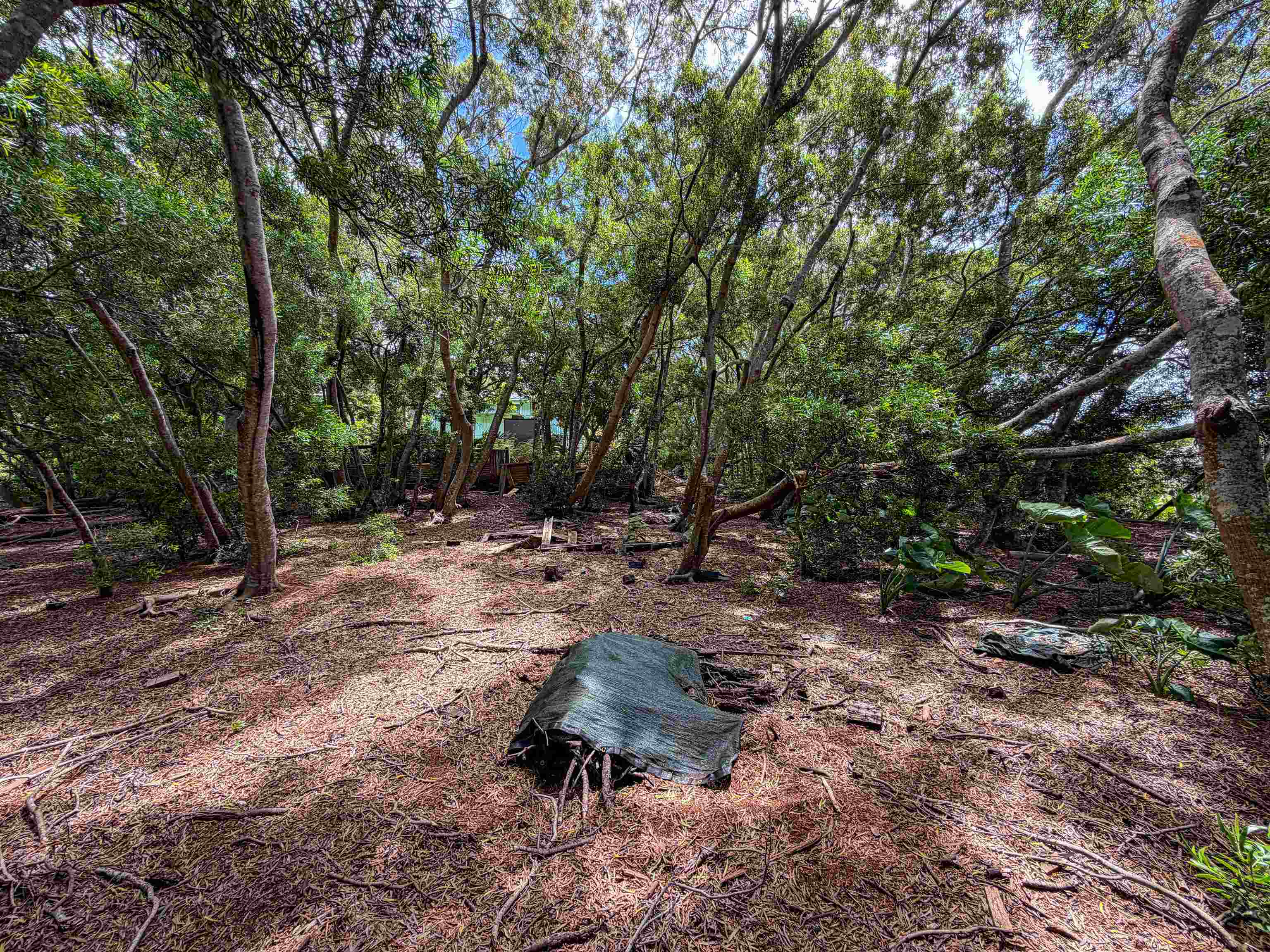 36 Koala Way Property Photo 6