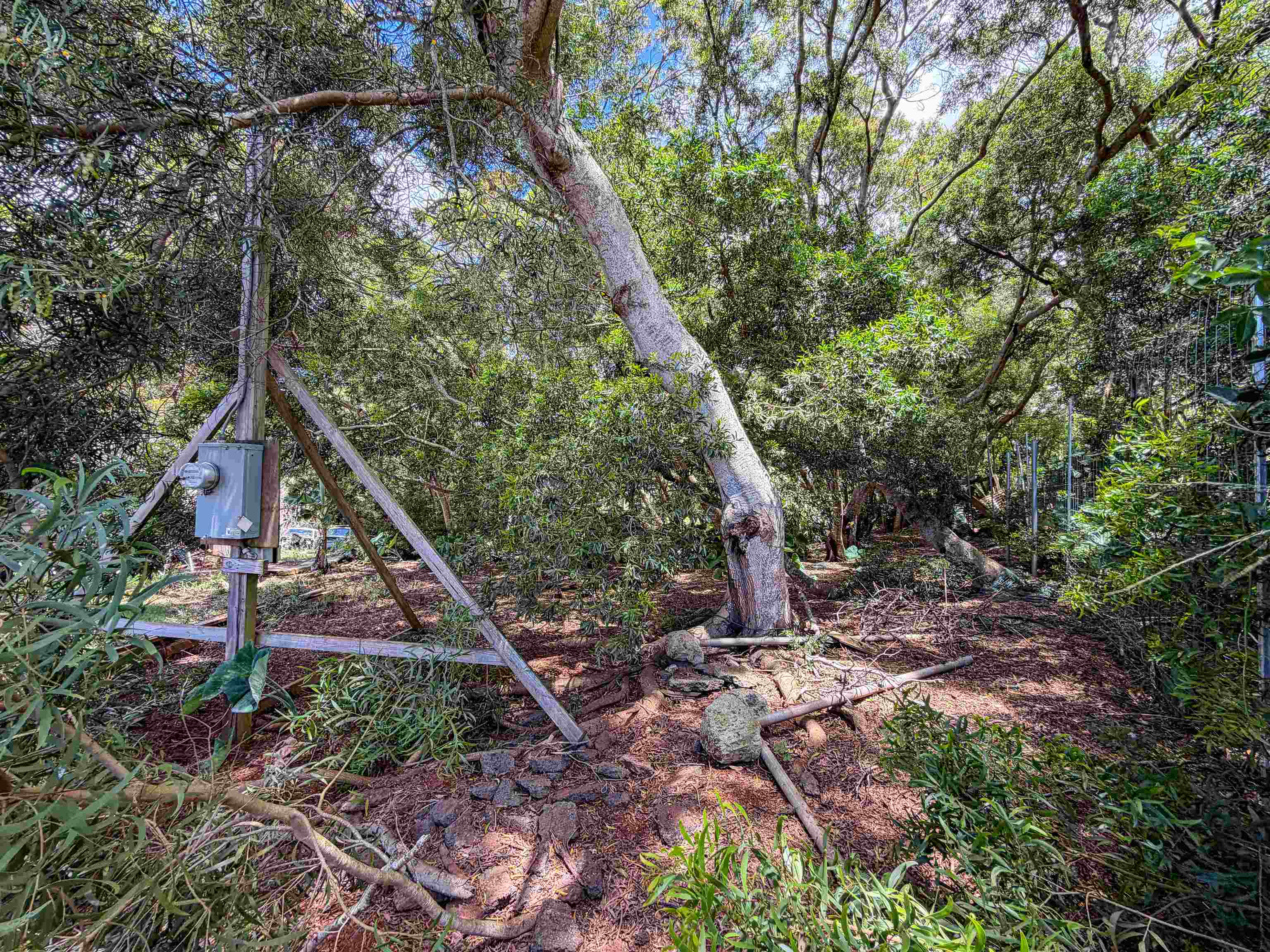 36 Koala Way Property Photo 7