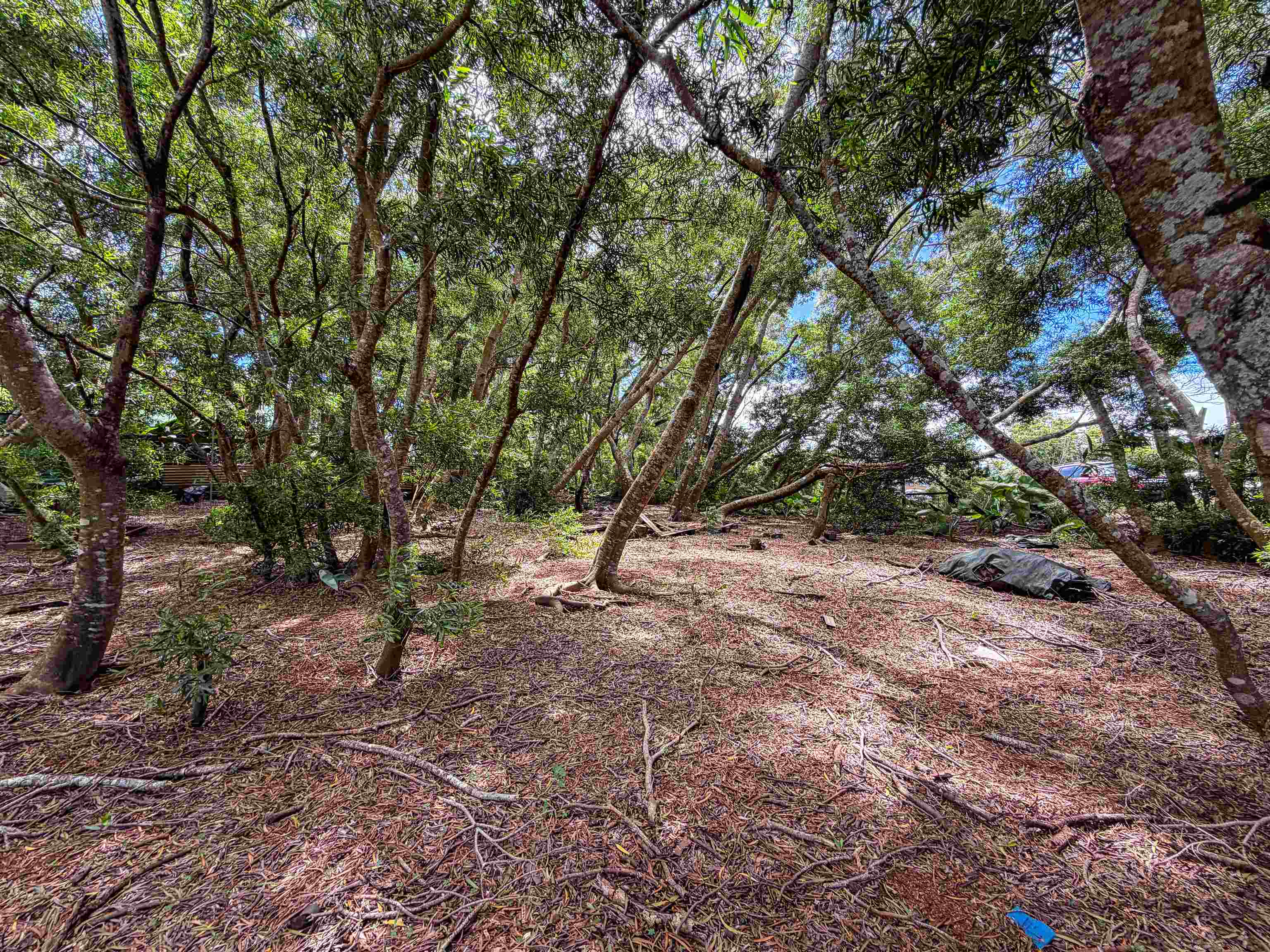 36 Koala Way Property Photo 8