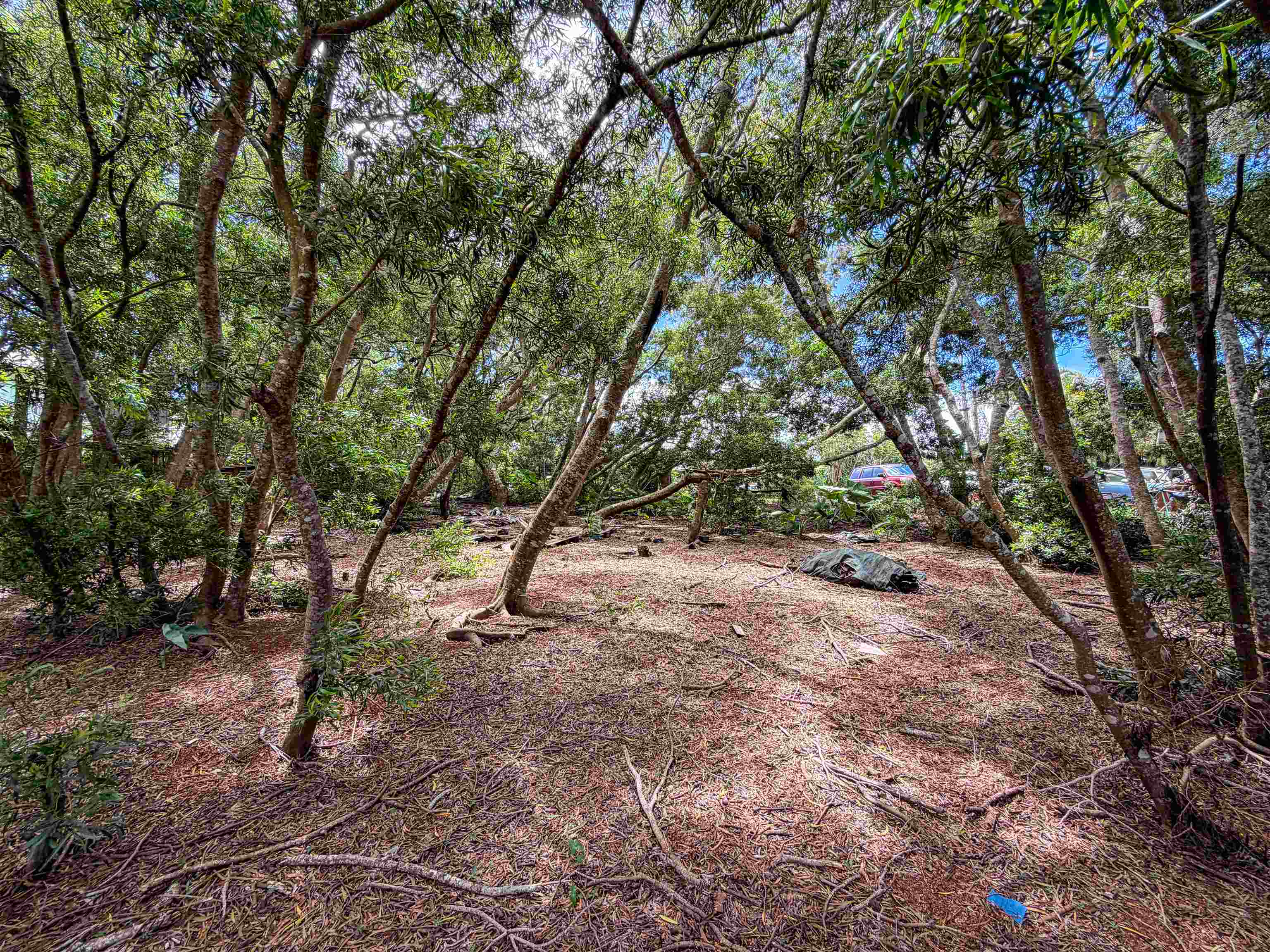 36 Koala Way Property Photo 9