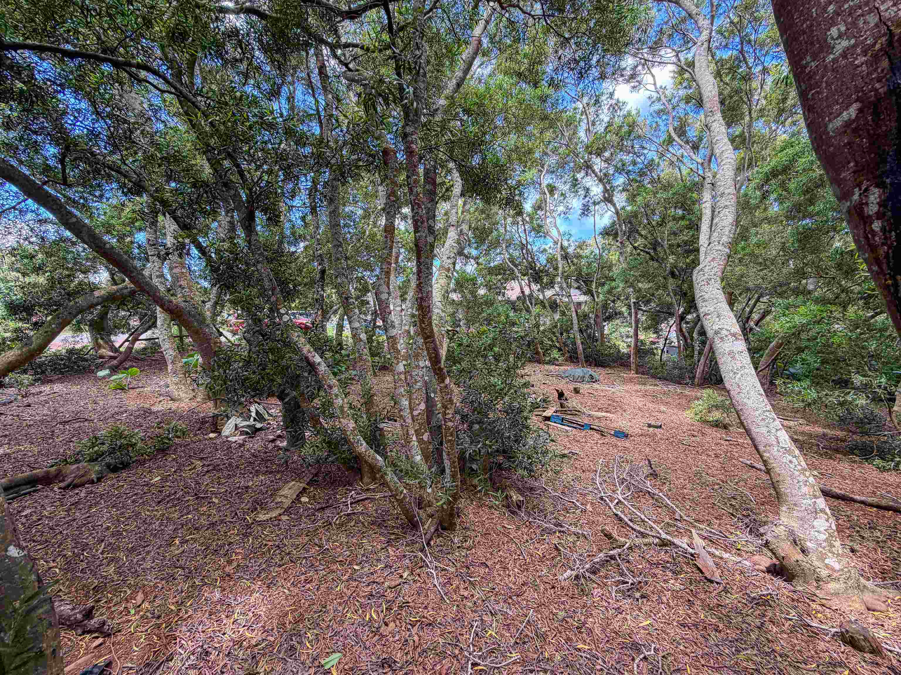 36 Koala Way Property Photo 10