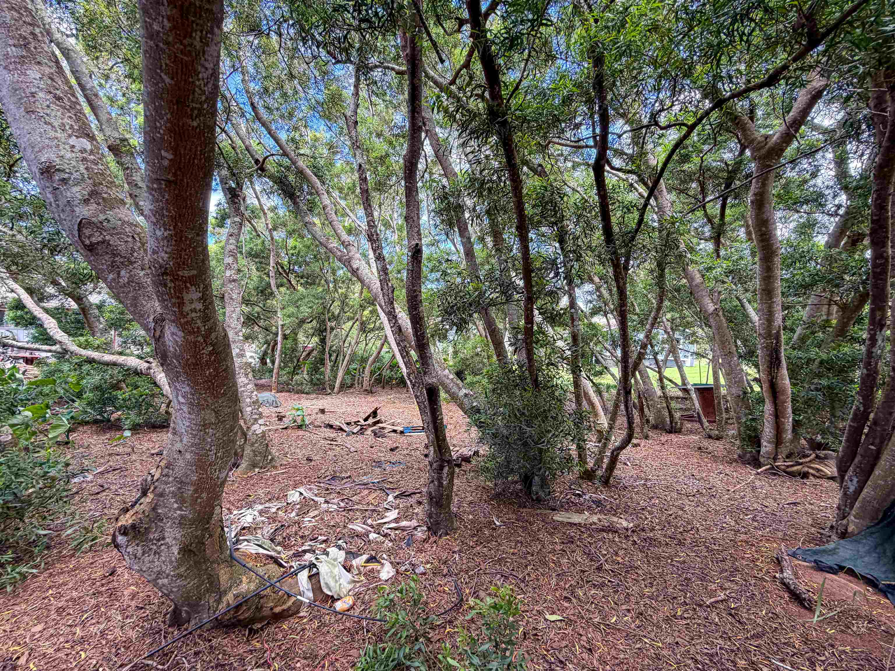 36 Koala Way Property Photo 11