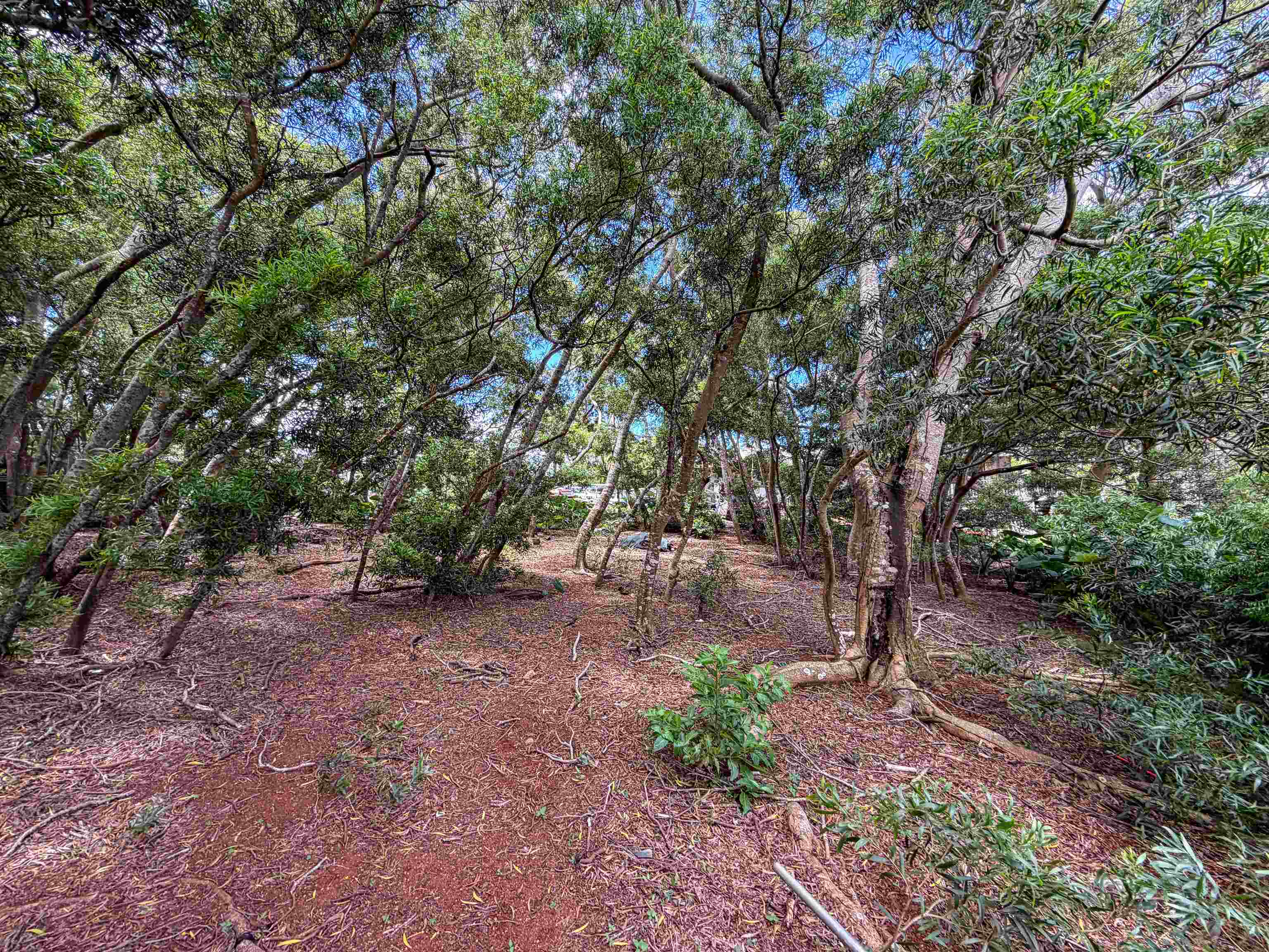 36 Koala Way Property Photo 12