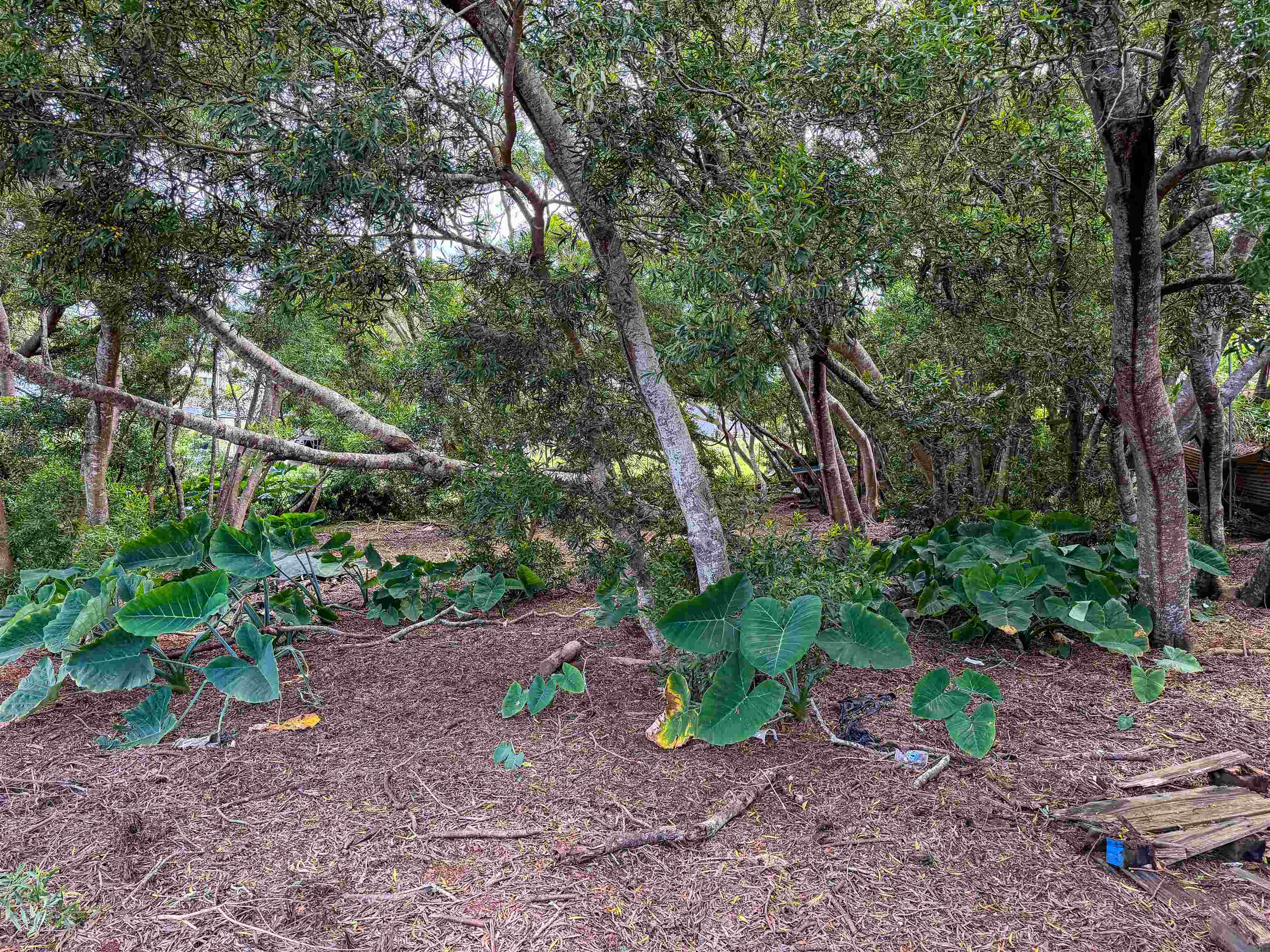 36 Koala Way Property Photo 13