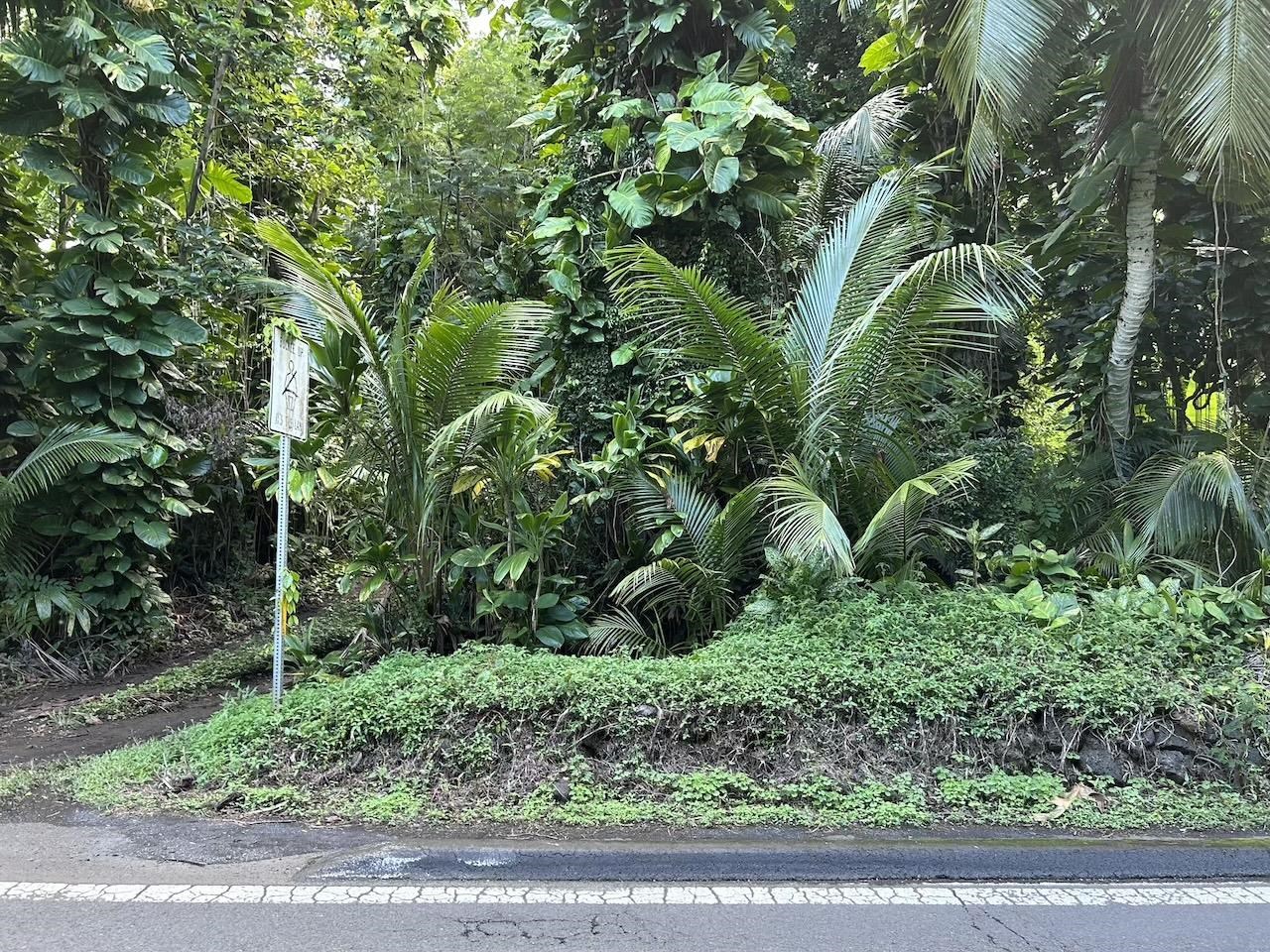 4550 Hana Hwy