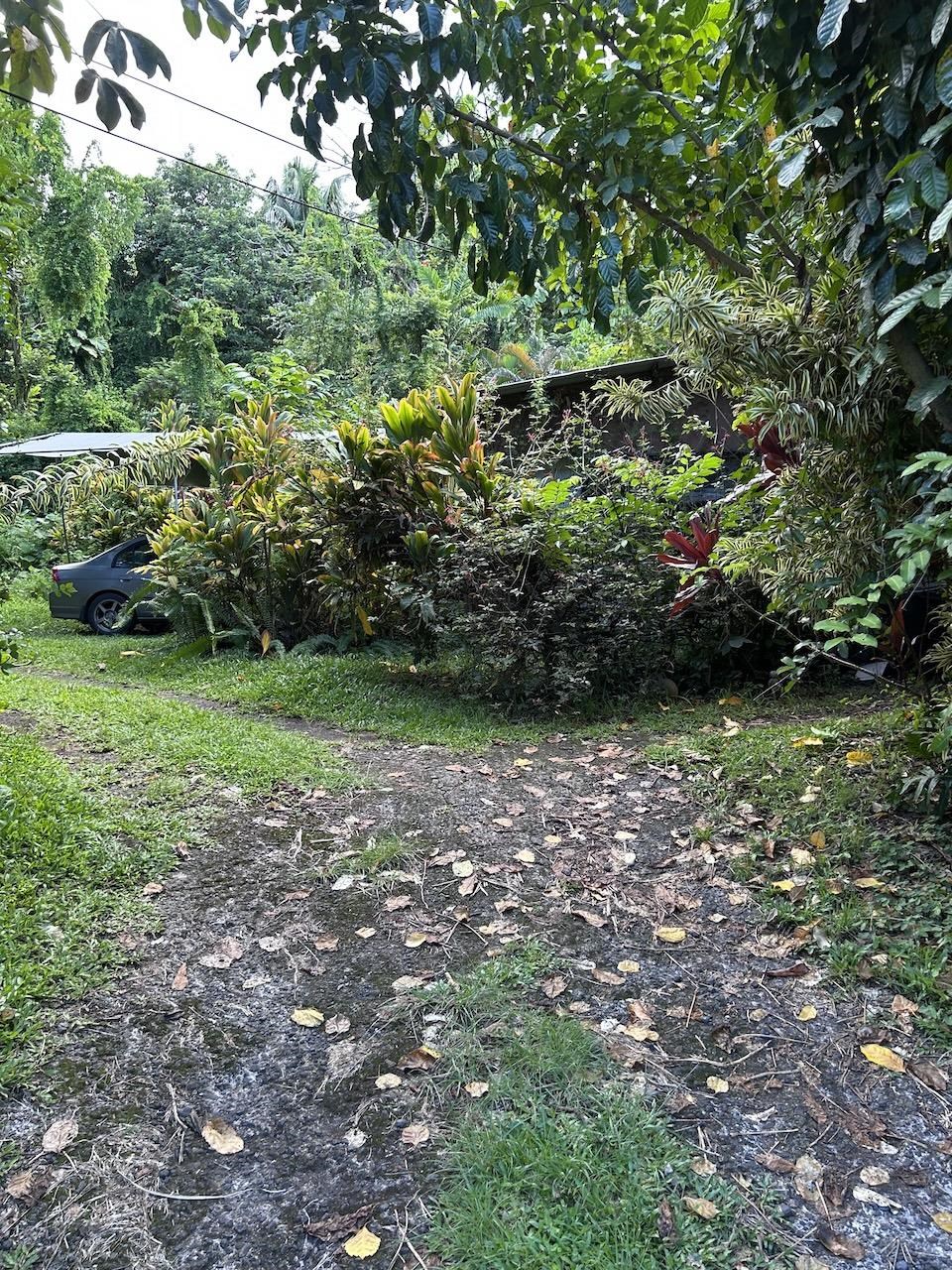 4550 Hana Hwy Property Photo 3