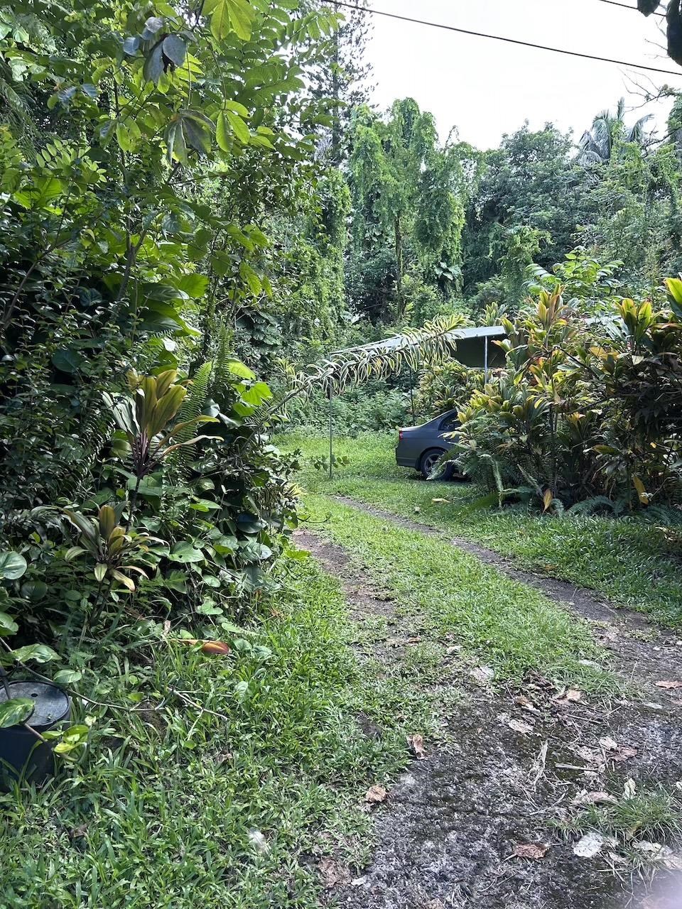 4550 Hana Hwy Property Photo 6