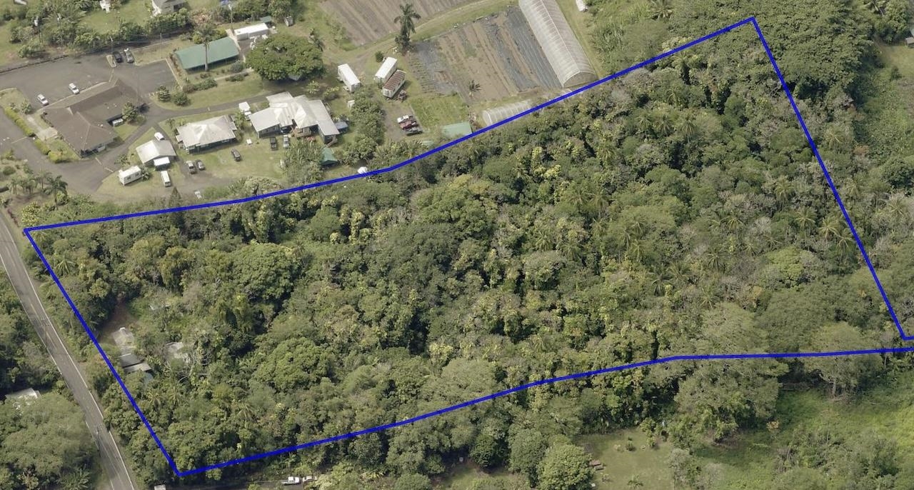 4550 Hana Hwy Property Photo 8