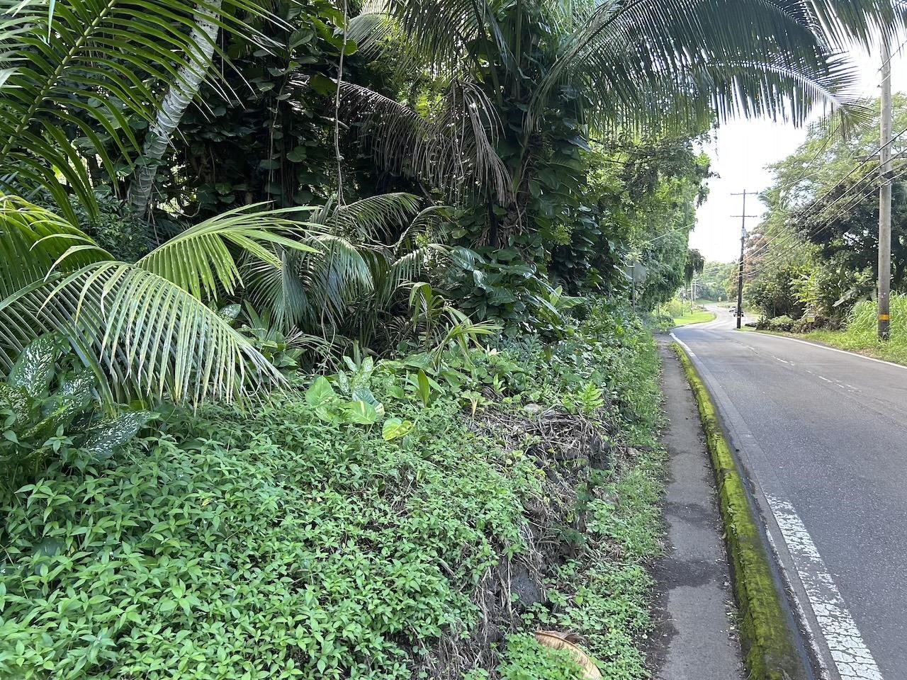 4550 Hana Hwy Property Photo 11