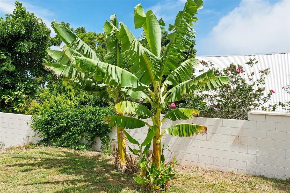 190 Aliiolani St Property Photo 48