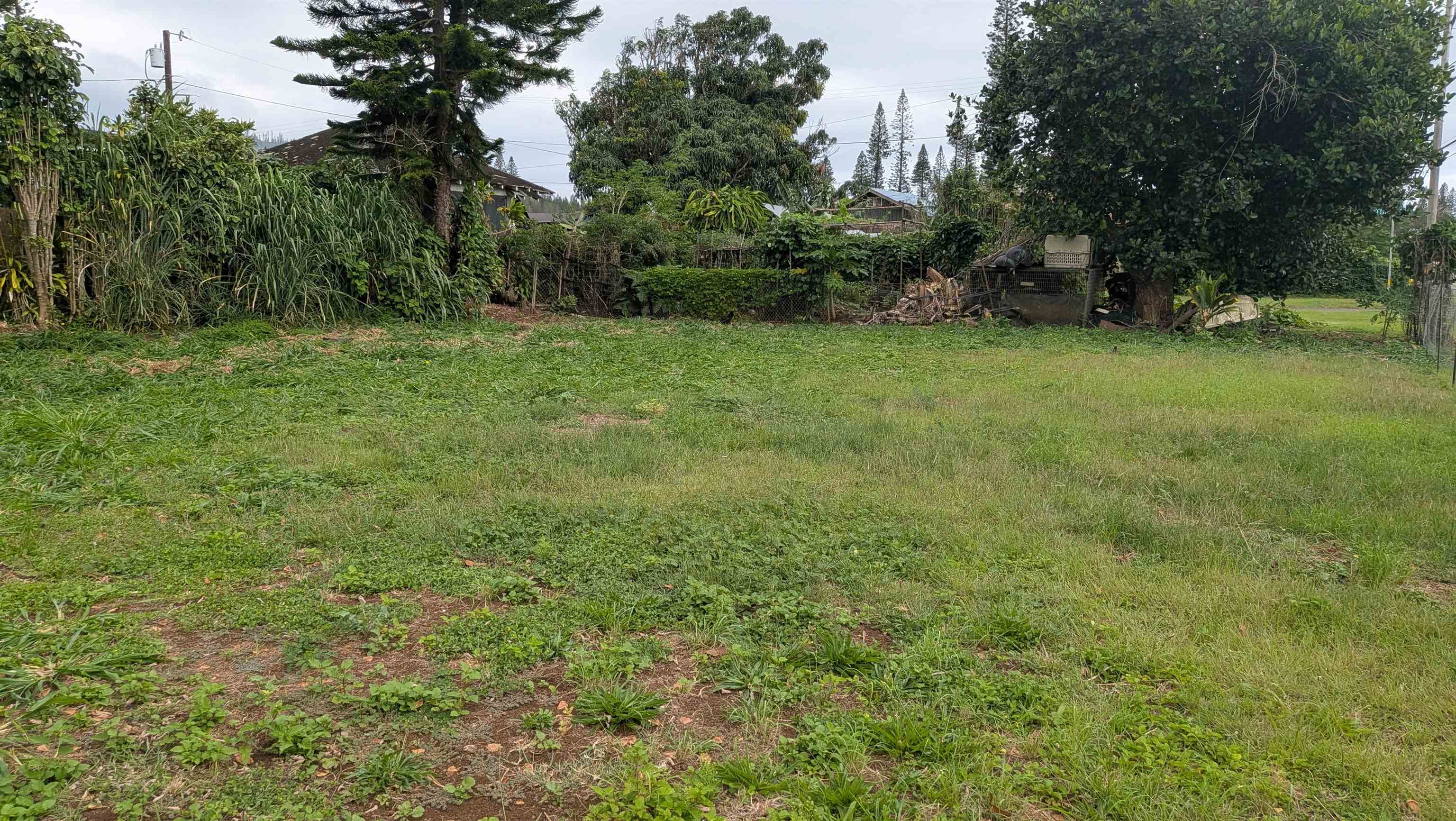 256 Fraser Ave Property Photo 3