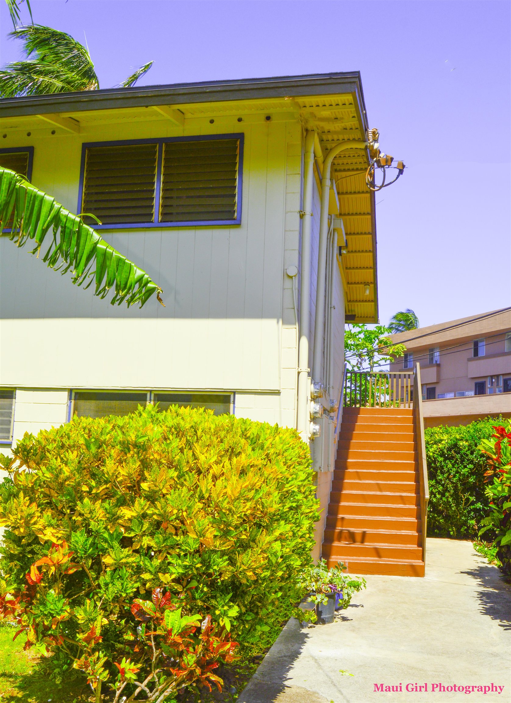 3666 Lower Honoapiilani Rd Property Photo 11