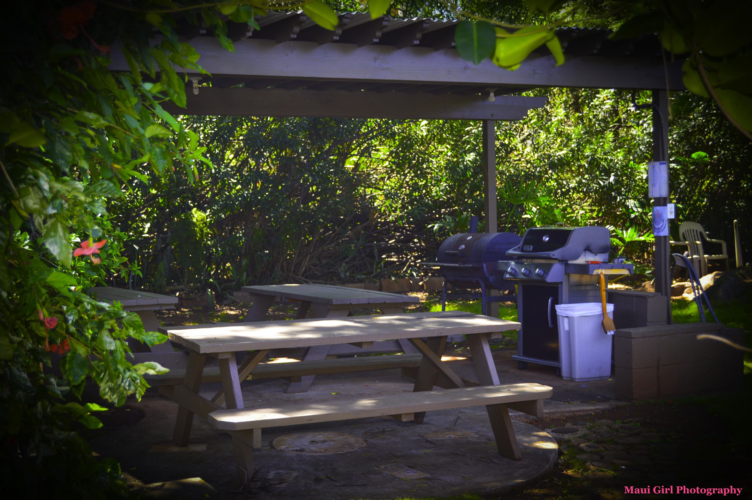 3666 Lower Honoapiilani Rd Property Photo 16
