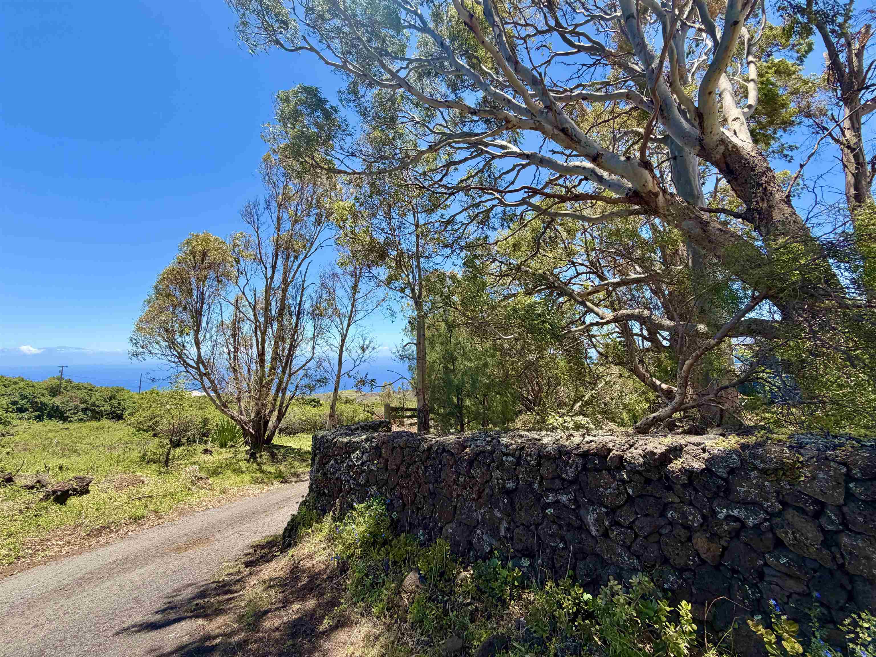 2480 Upper Kanaio Rd Property Photo 49