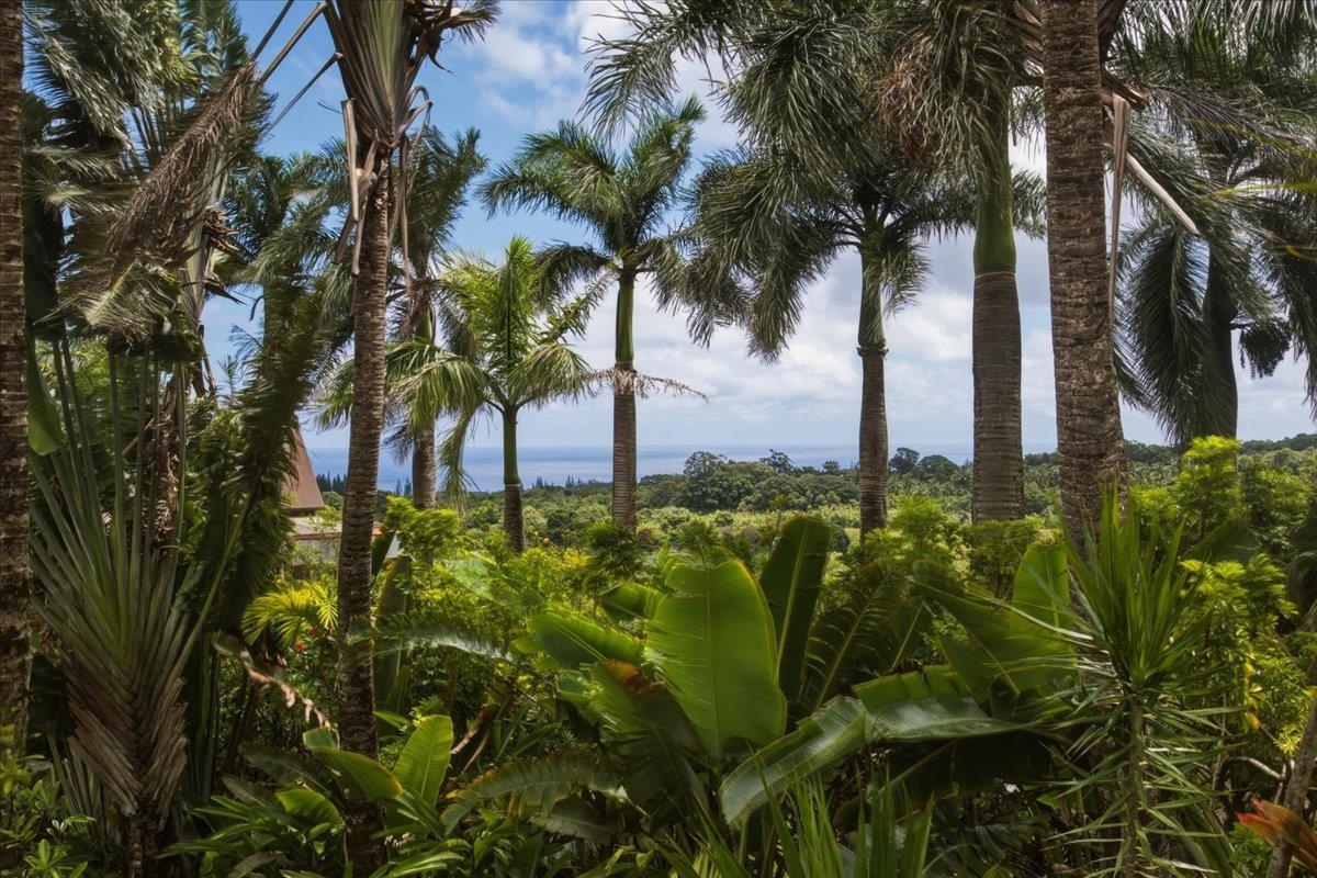 57 S Honokala Rd Property Photo 21