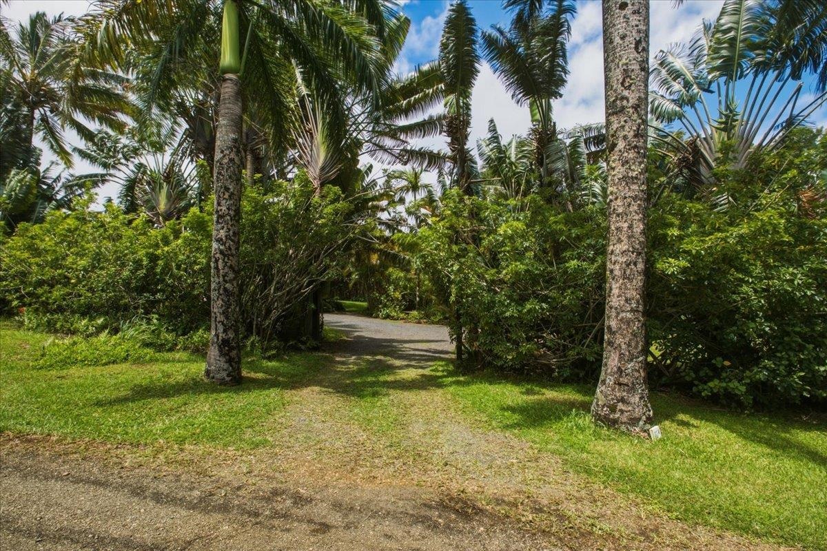 57 S Honokala Rd Property Photo 38
