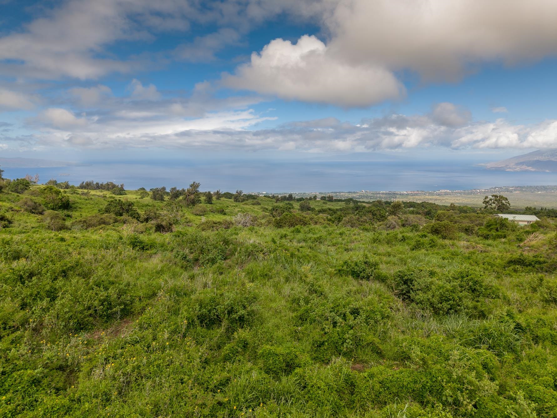 9900 Kula Hwy Property Photo 11