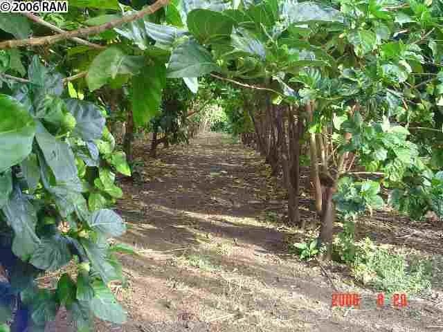 410771 Property Photo 9