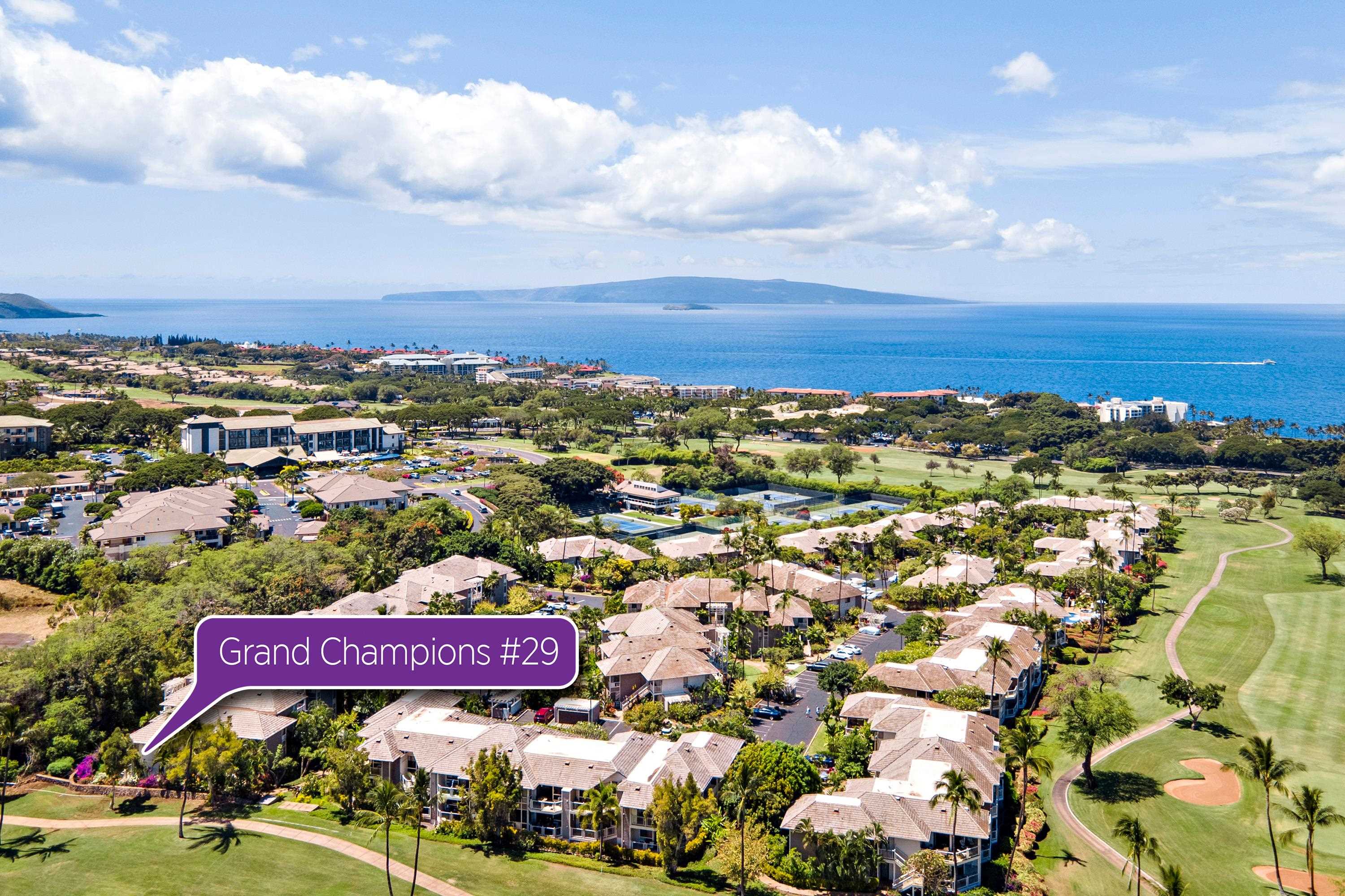 155 Wailea Ike Pl Property Photo 2