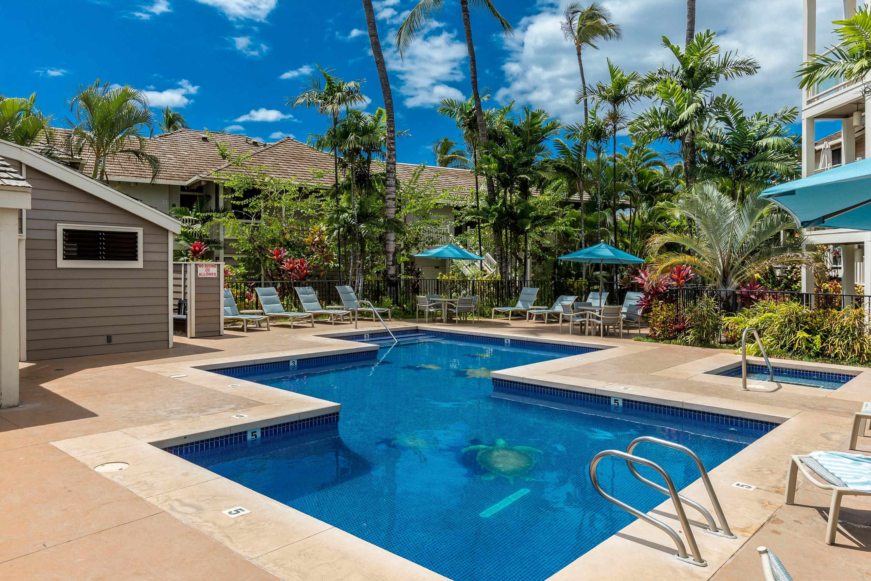 155 Wailea Ike Pl Property Photo 9