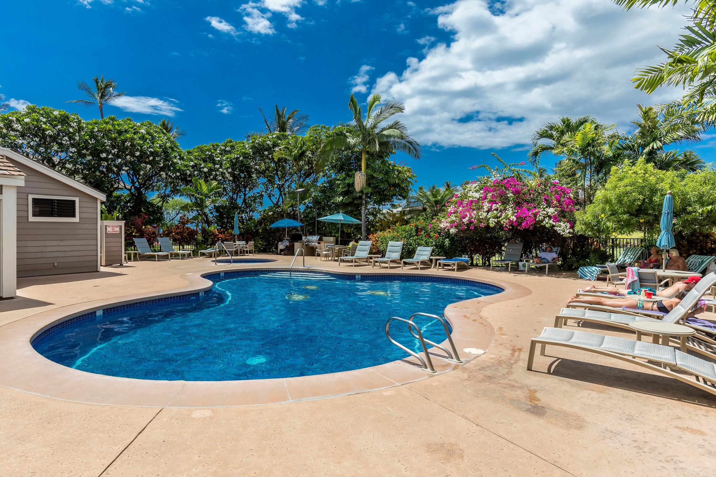 155 Wailea Ike Pl Property Photo 17