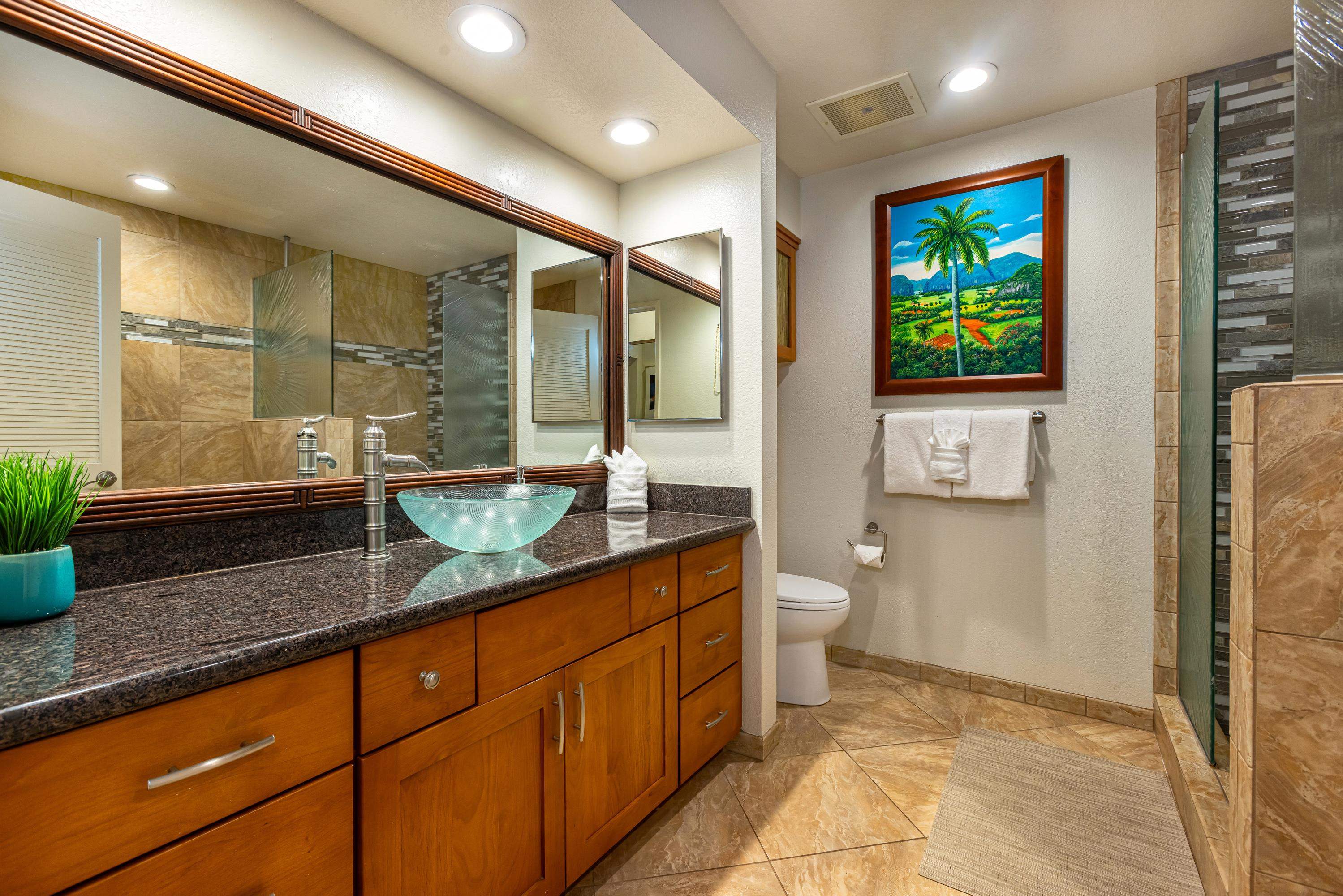 155 Wailea Ike Pl Property Photo 21