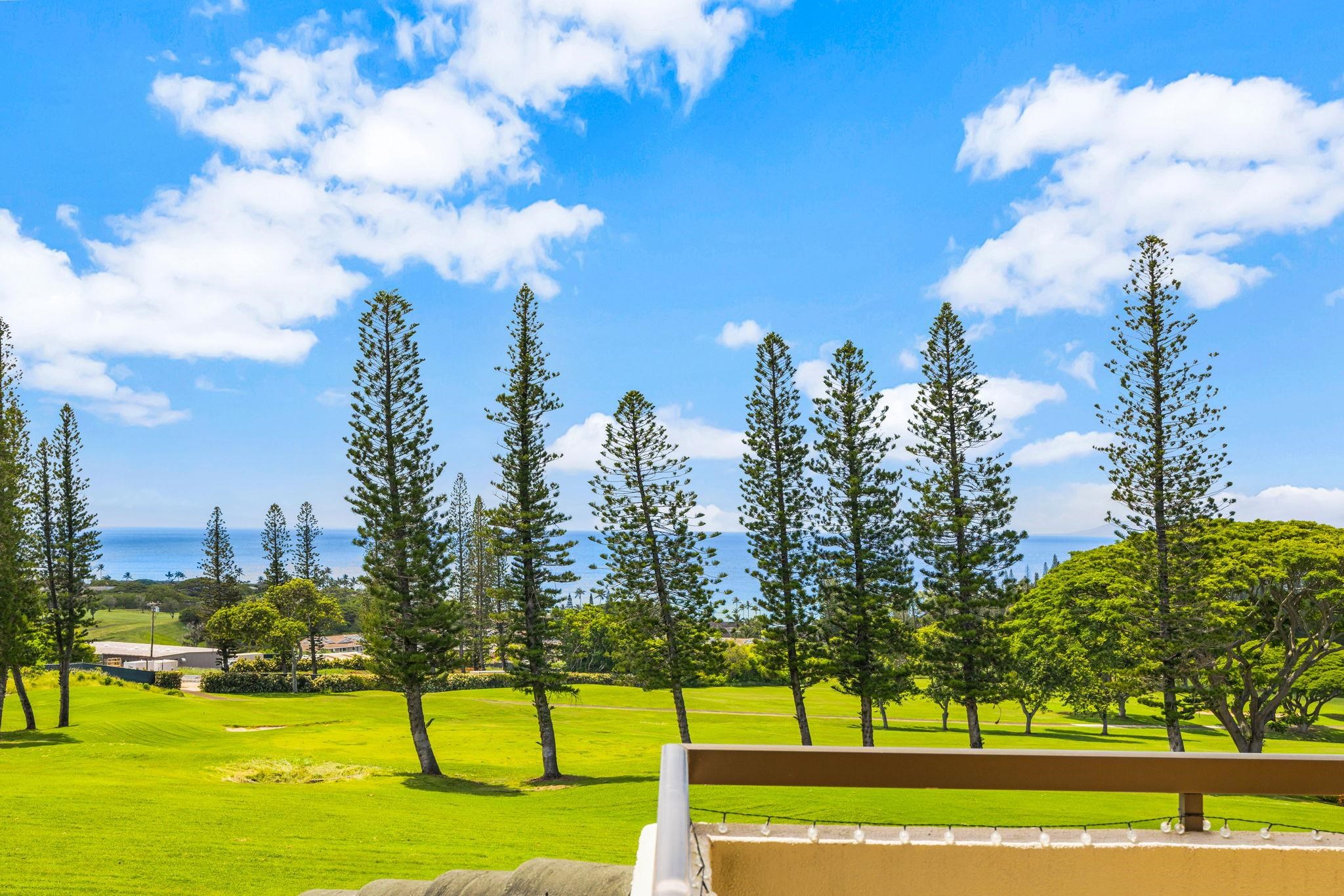 500 Kapalua Dr Property Photo 4