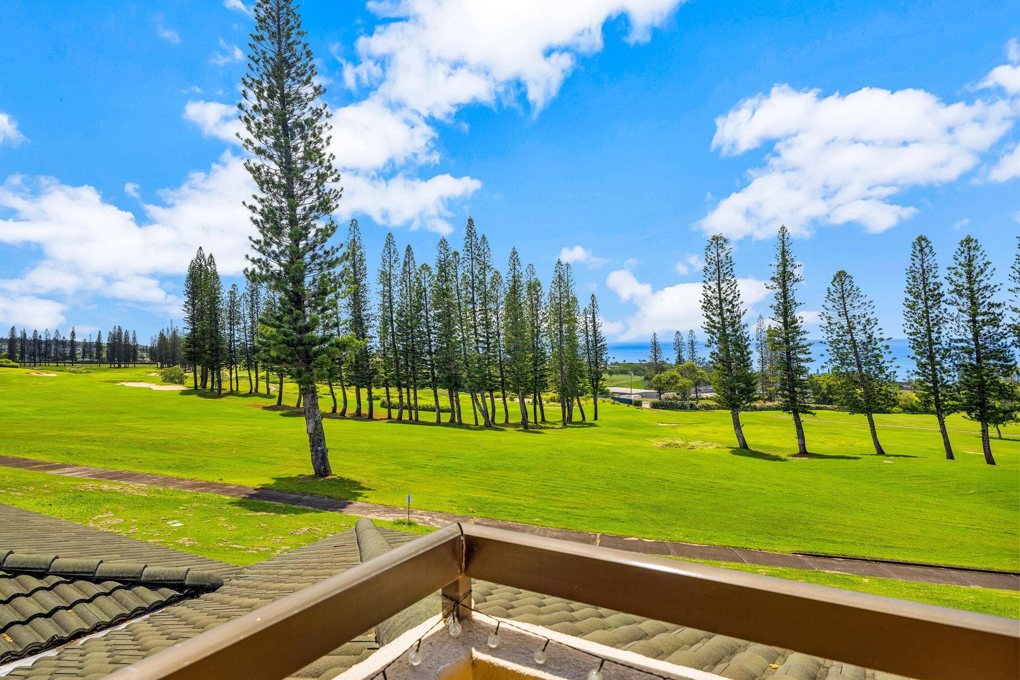 500 Kapalua Dr Property Photo 8