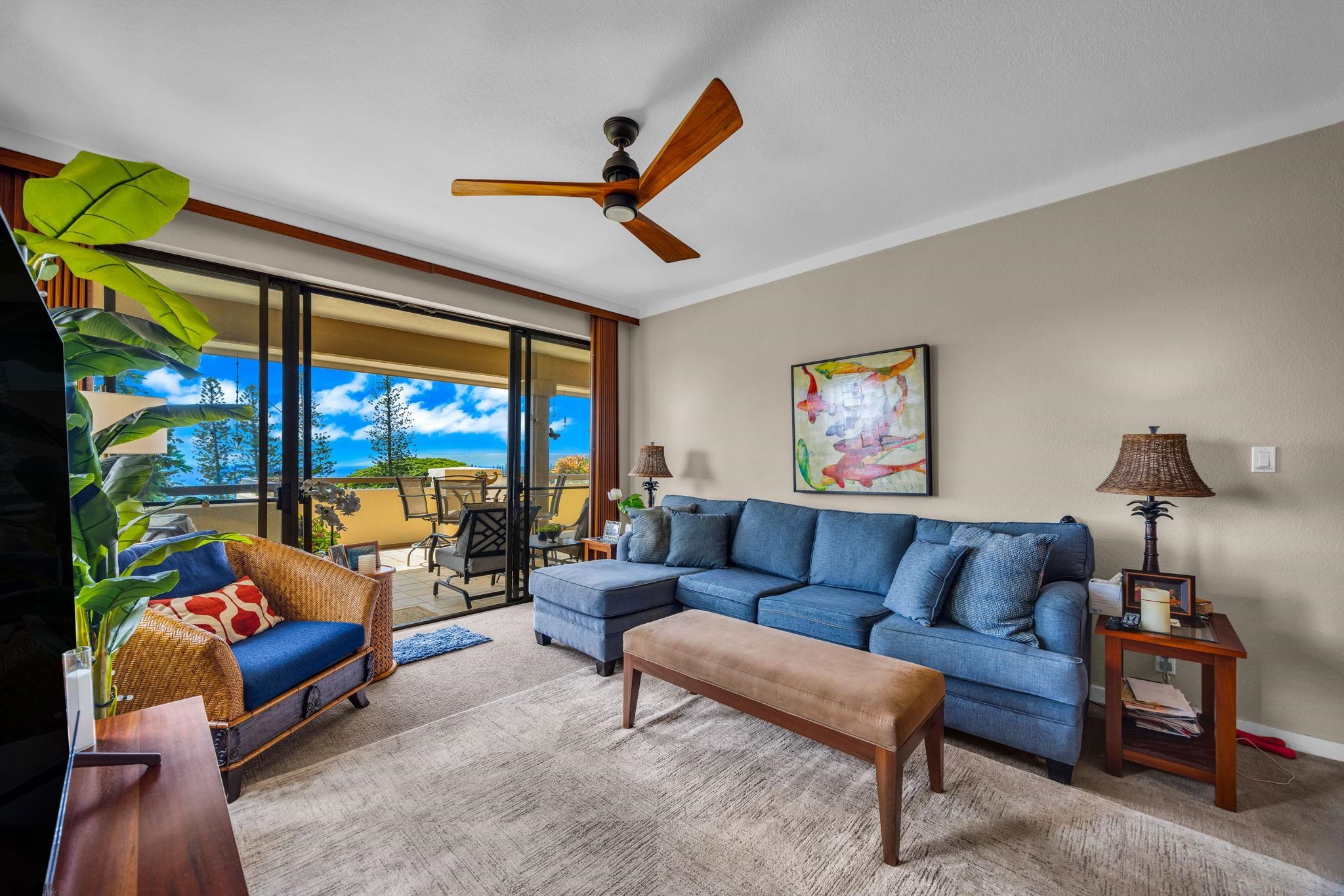 500 Kapalua Dr Property Photo 10
