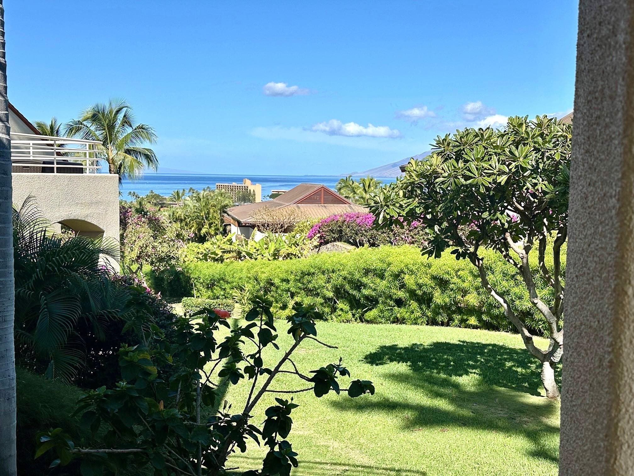 3150 Wailea Alanui Dr Property Photo 14