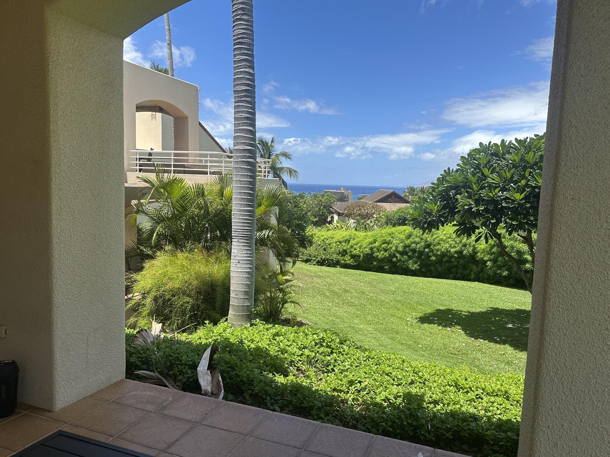 3150 Wailea Alanui Dr Property Photo 31
