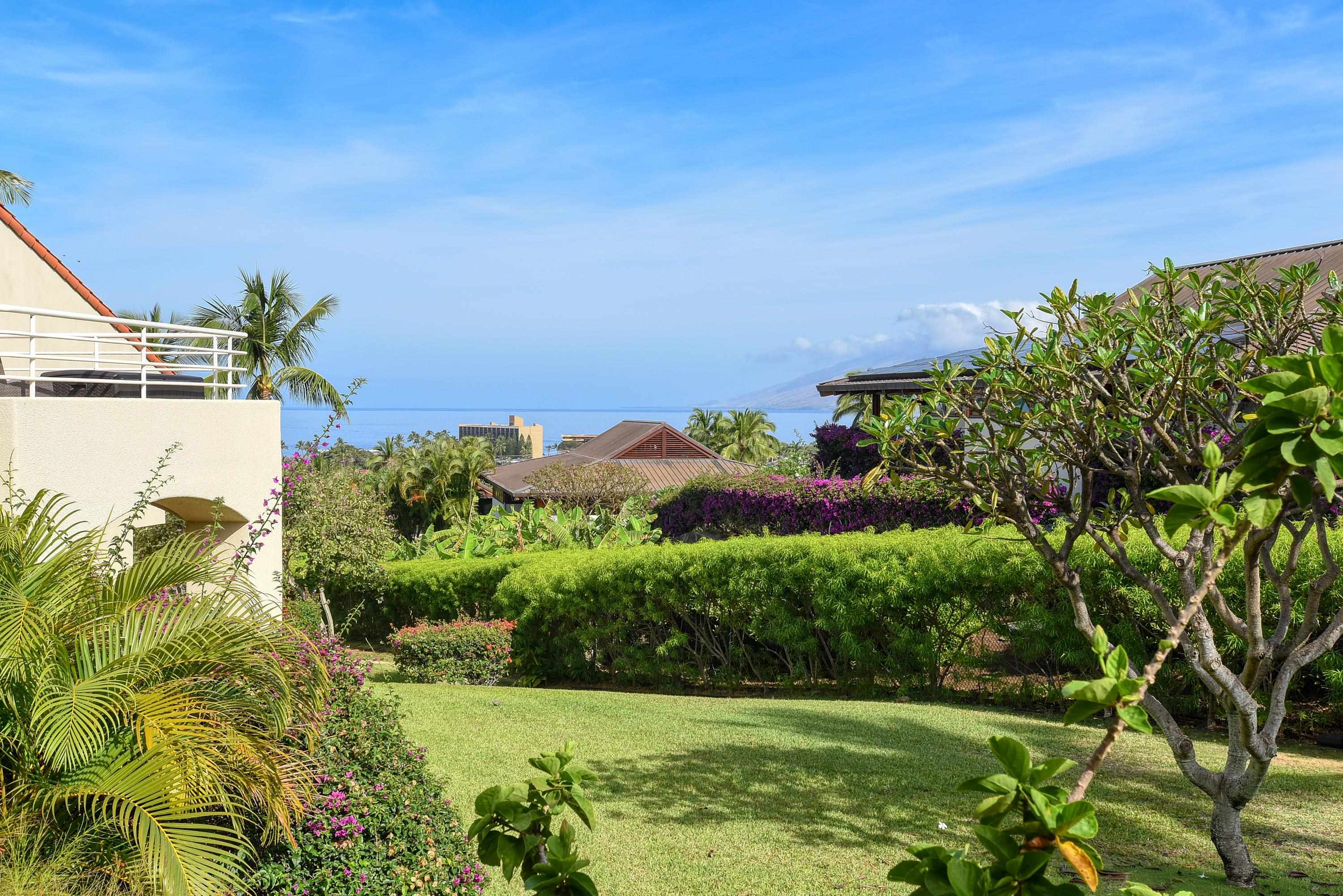 3150 Wailea Alanui Dr Property Photo 32