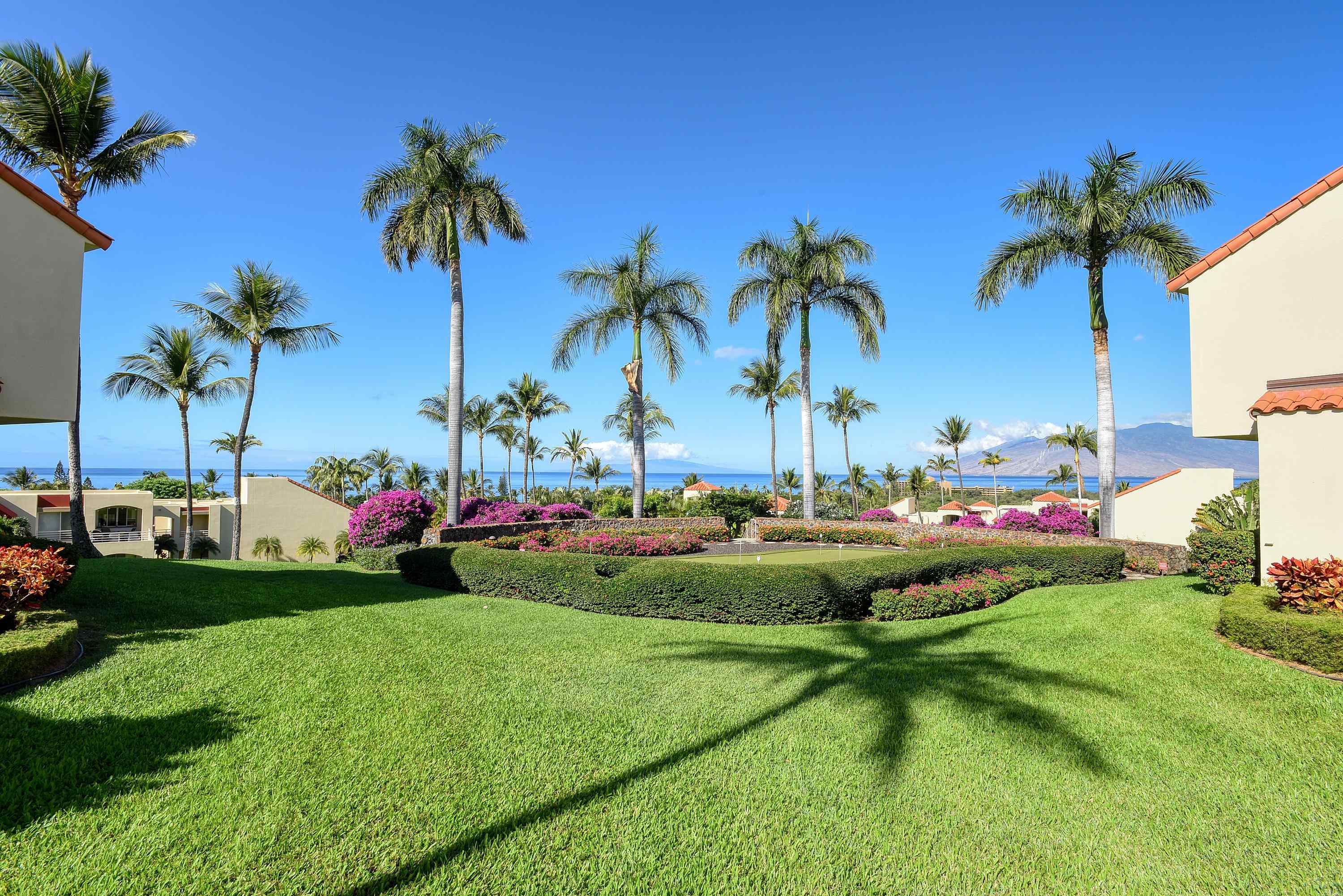 3150 Wailea Alanui Dr Property Photo 34