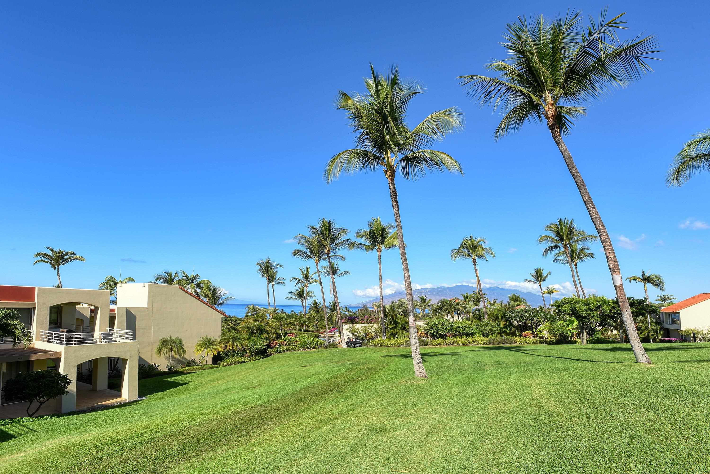 3150 Wailea Alanui Dr Property Photo 36