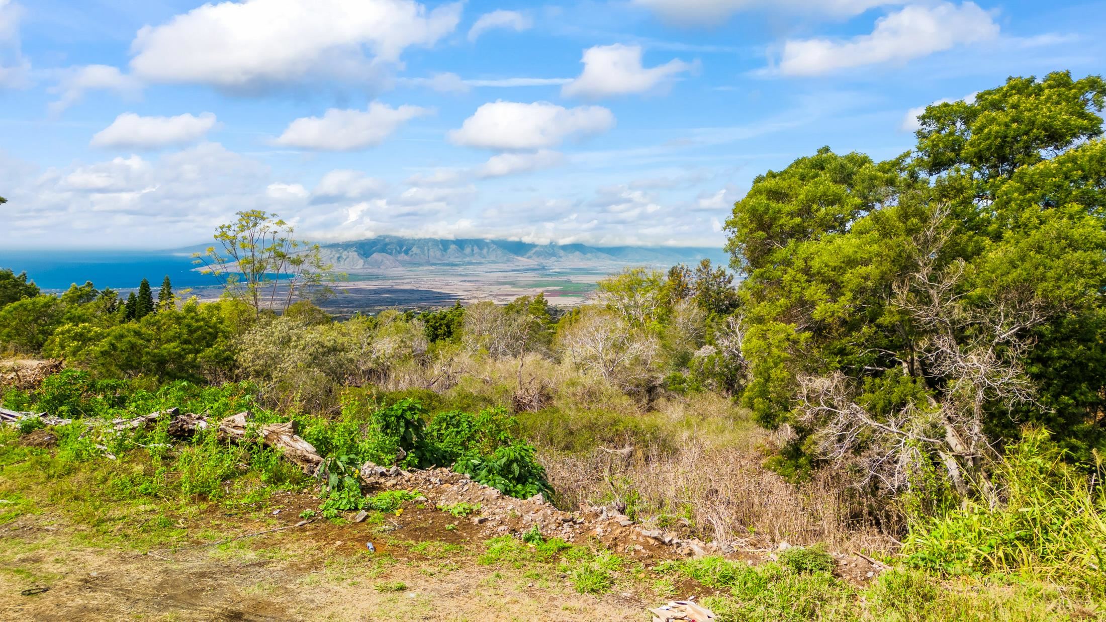 Malanani Dr Property Photo 10