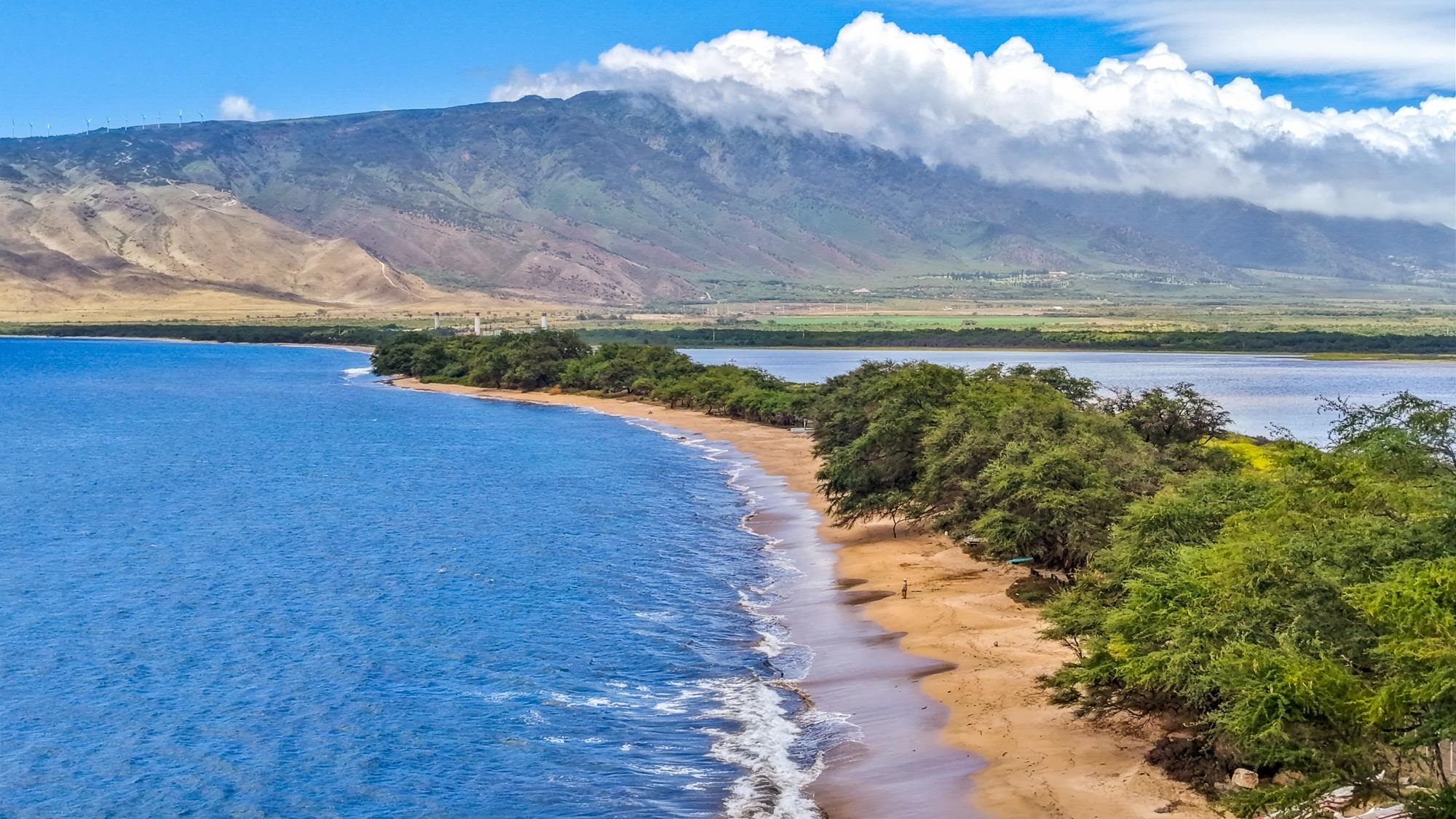 12 S Kihei Rd Property Photo 6