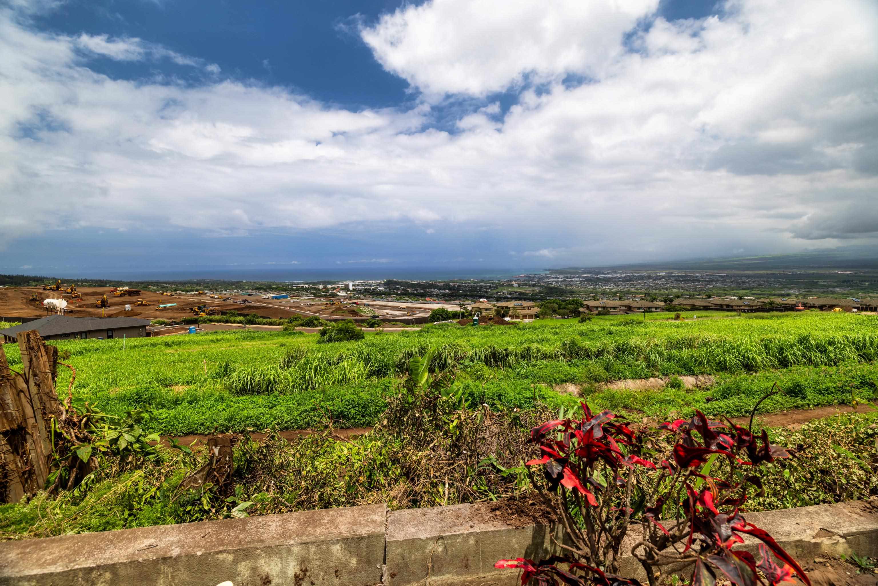 401 Palani Pl Property Photo 4