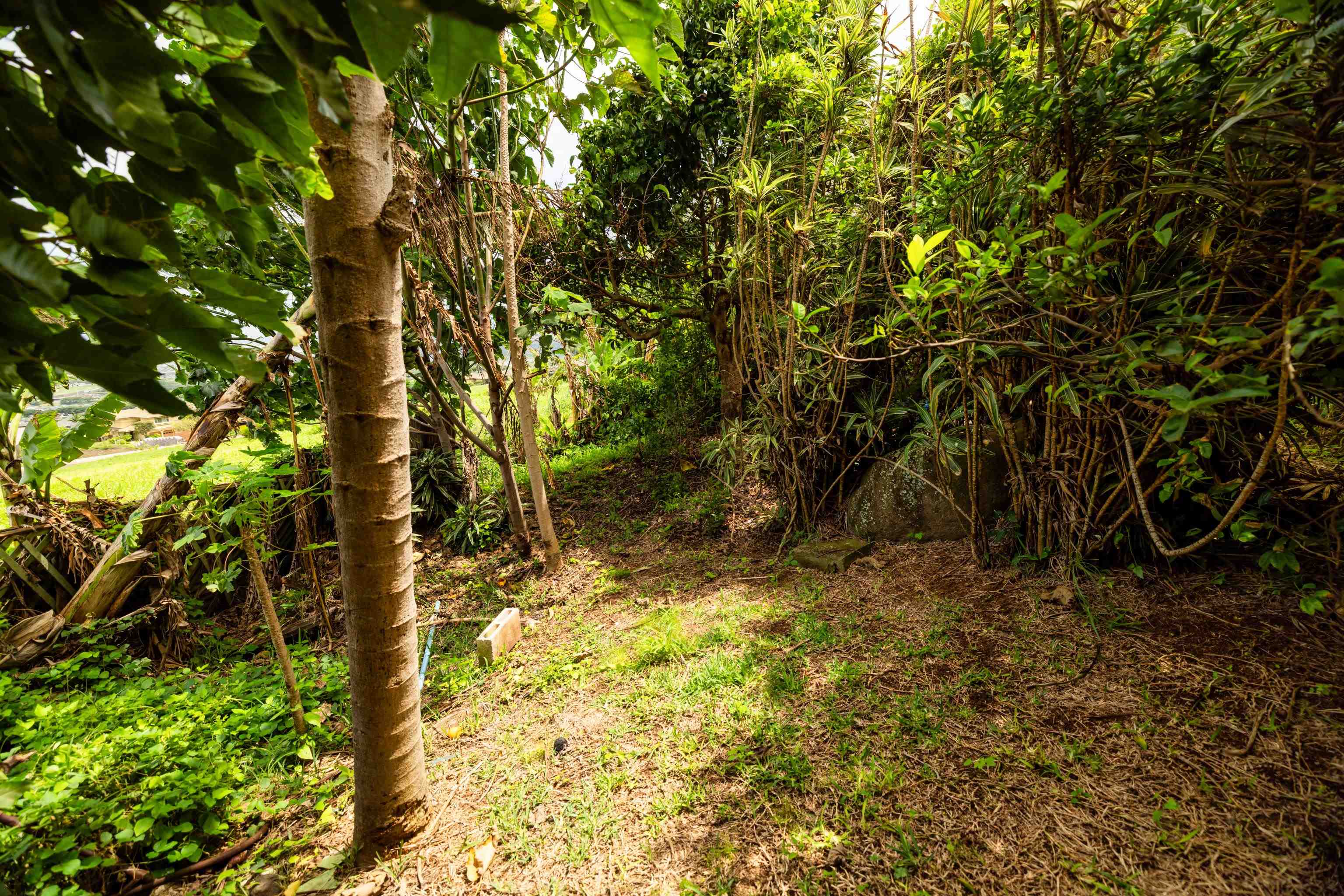 401 Palani Pl Property Photo 29