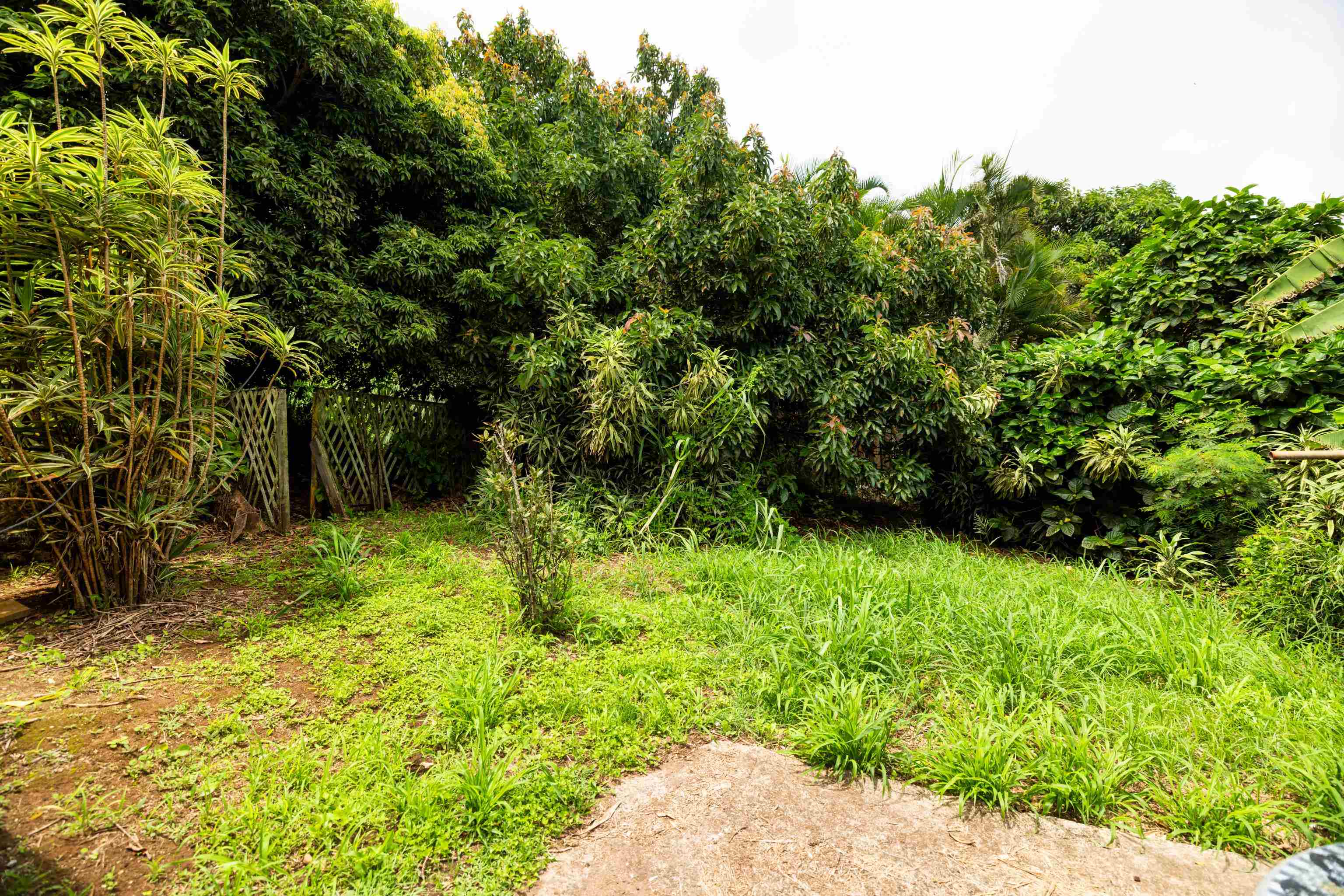 401 Palani Pl Property Photo 31