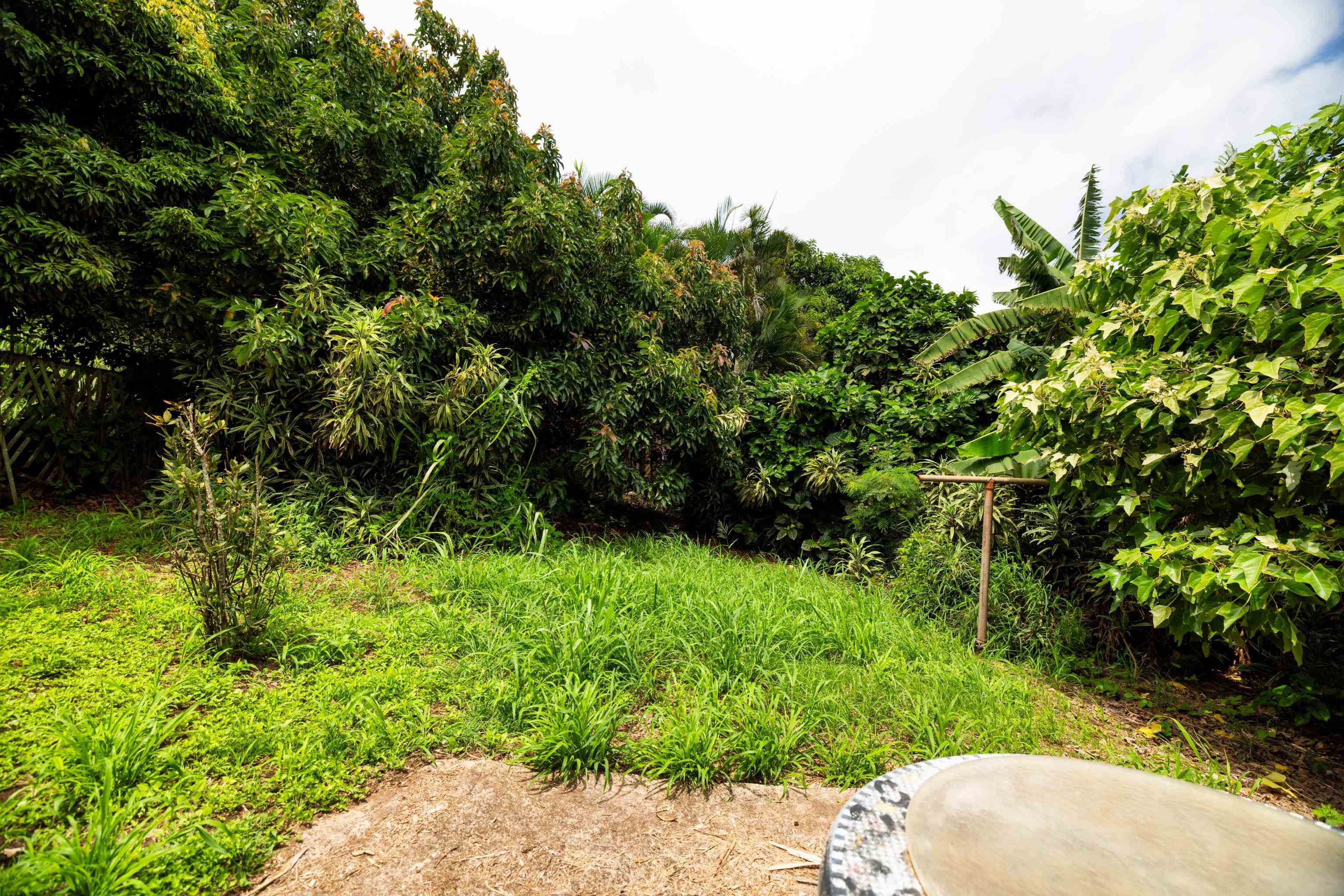 401 Palani Pl Property Photo 32