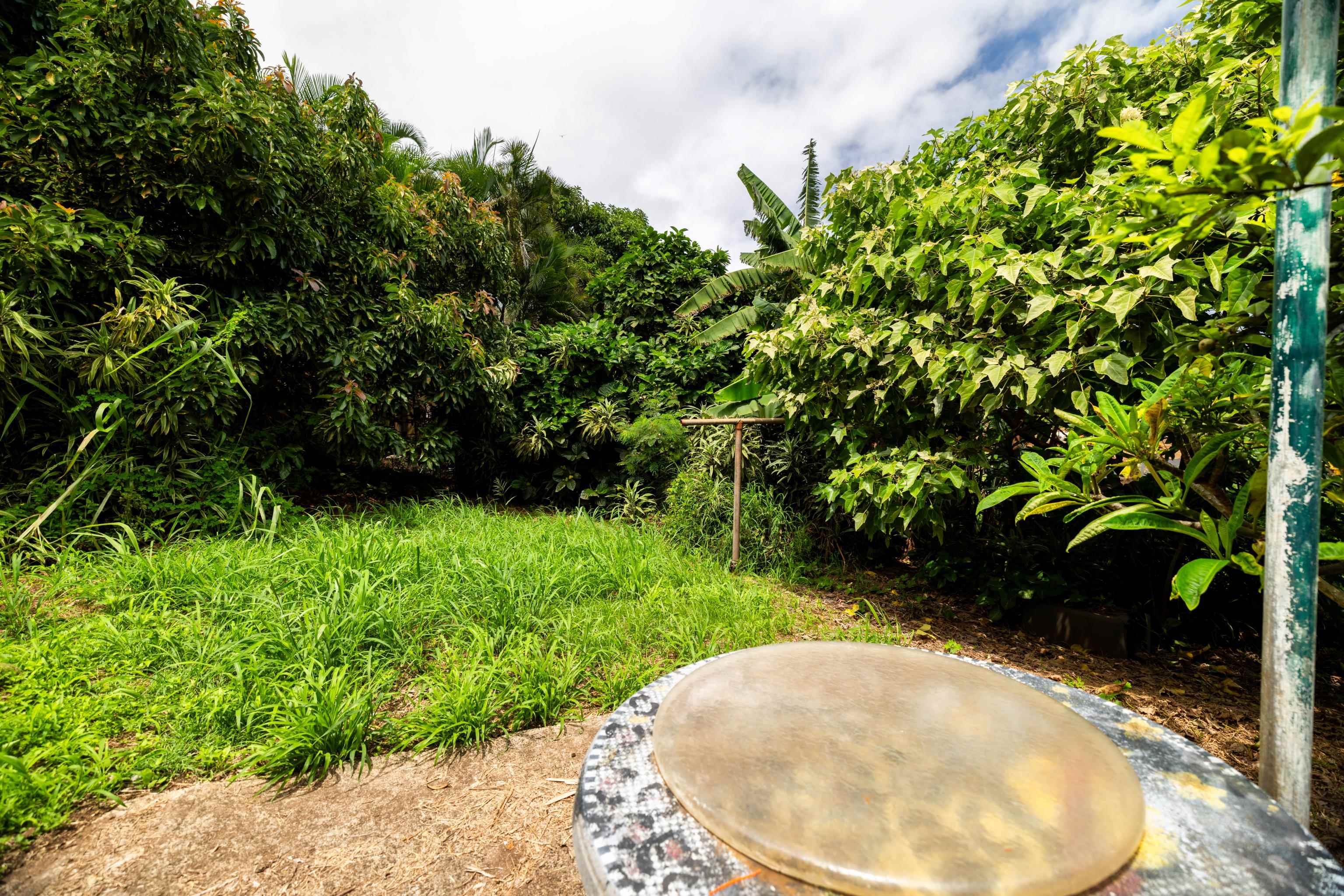 401 Palani Pl Property Photo 37
