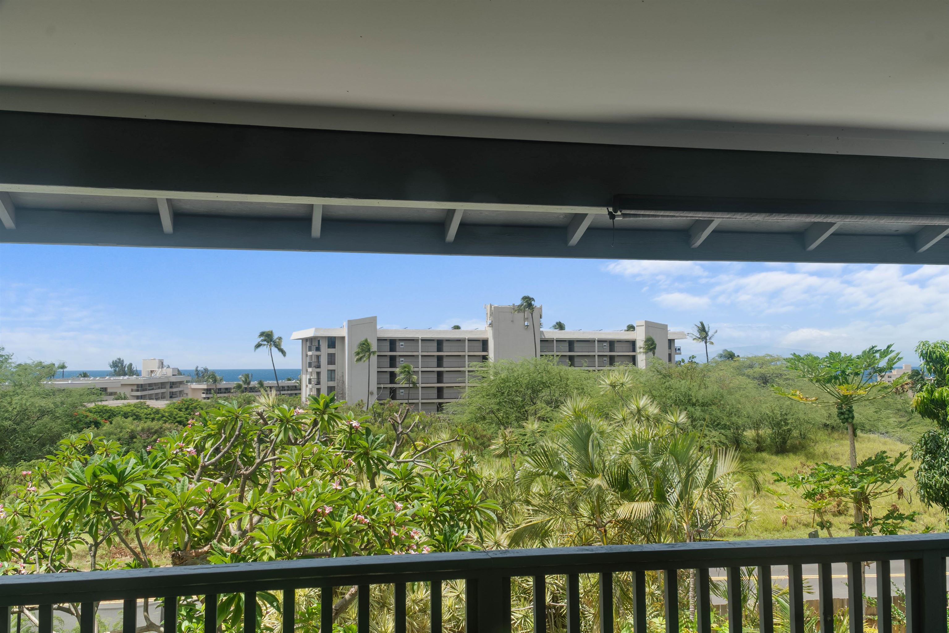 2556 Omiko Pl Property Photo 5