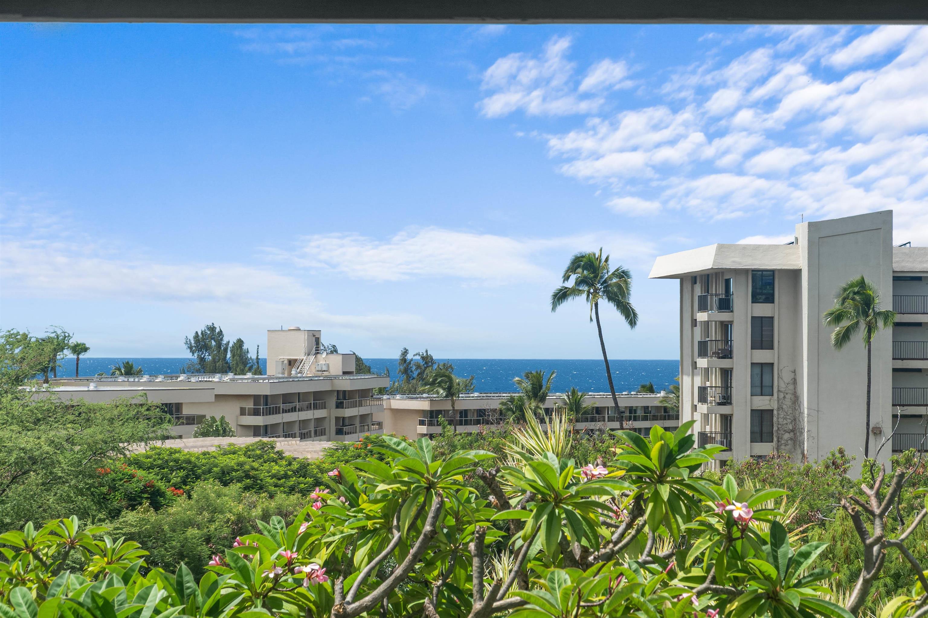 2556 Omiko Pl Property Photo 6