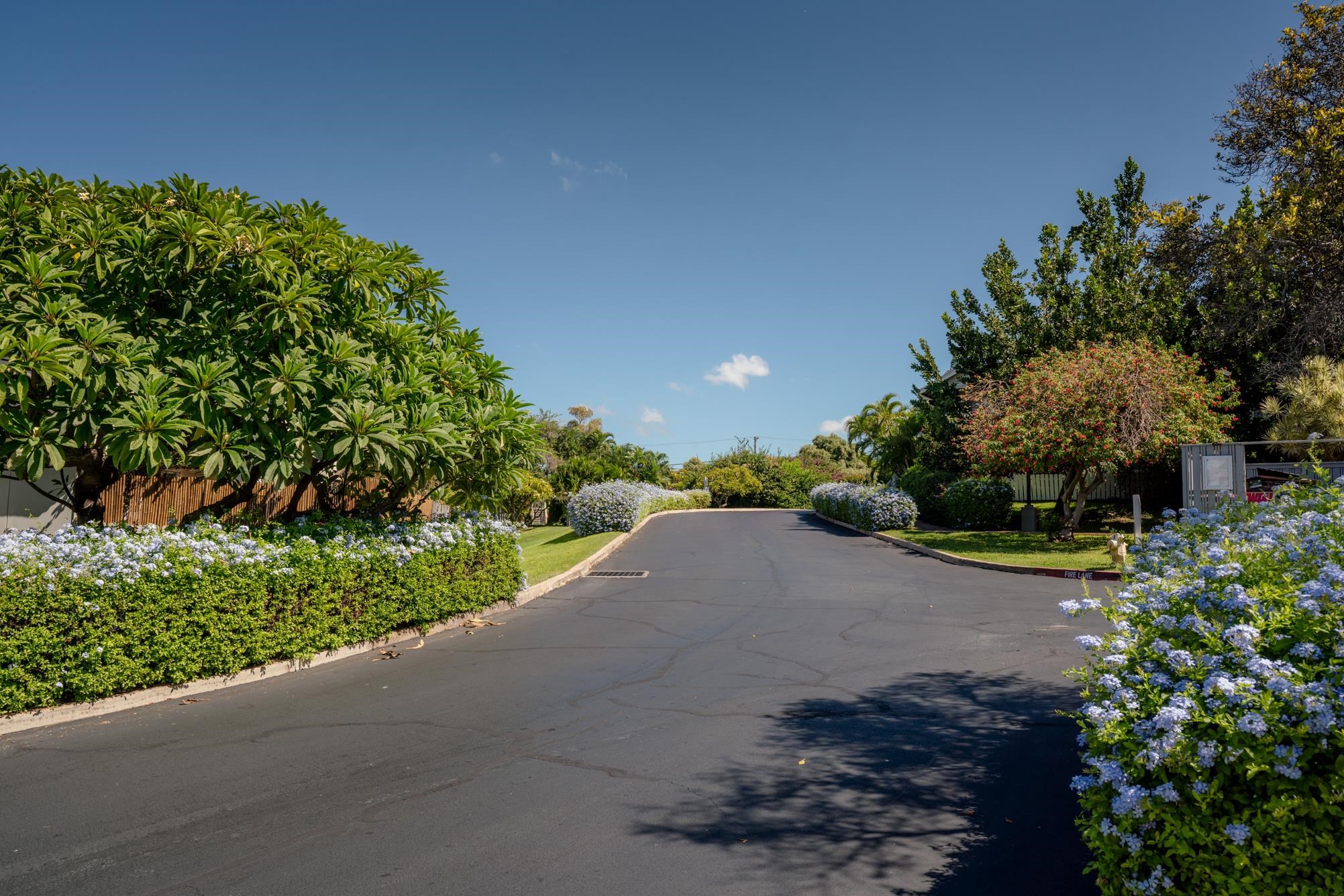 160 Keonekai Rd Property Photo 35