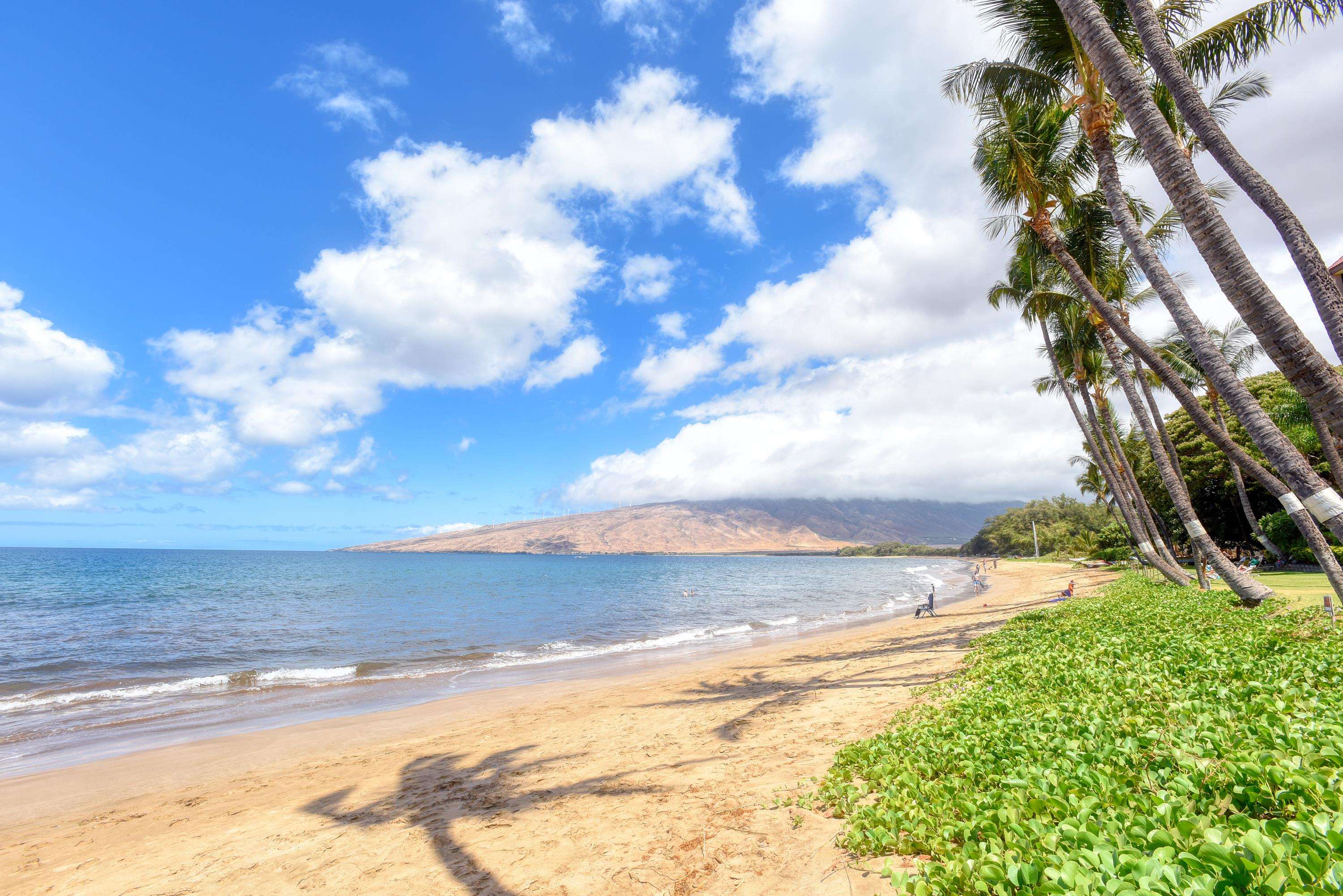 145 N Kihei Rd Property Photo 5