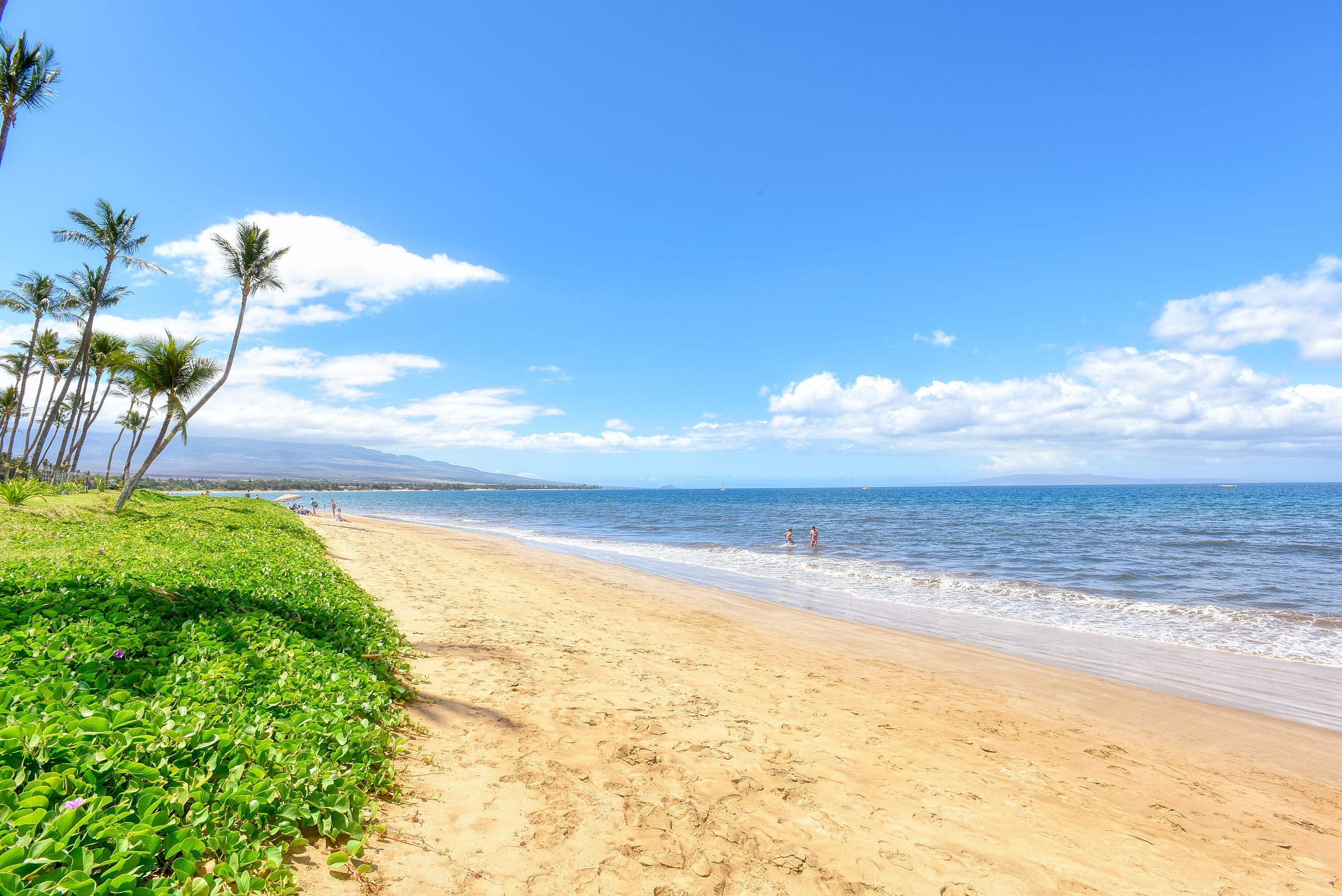 145 N Kihei Rd Property Photo 23