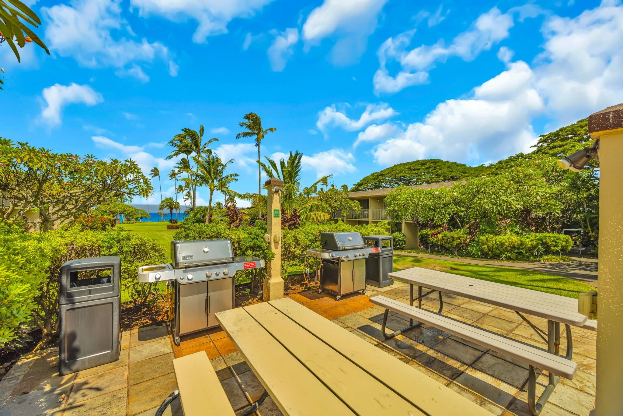 5315 Lower Honoapiilani Rd Property Photo 30